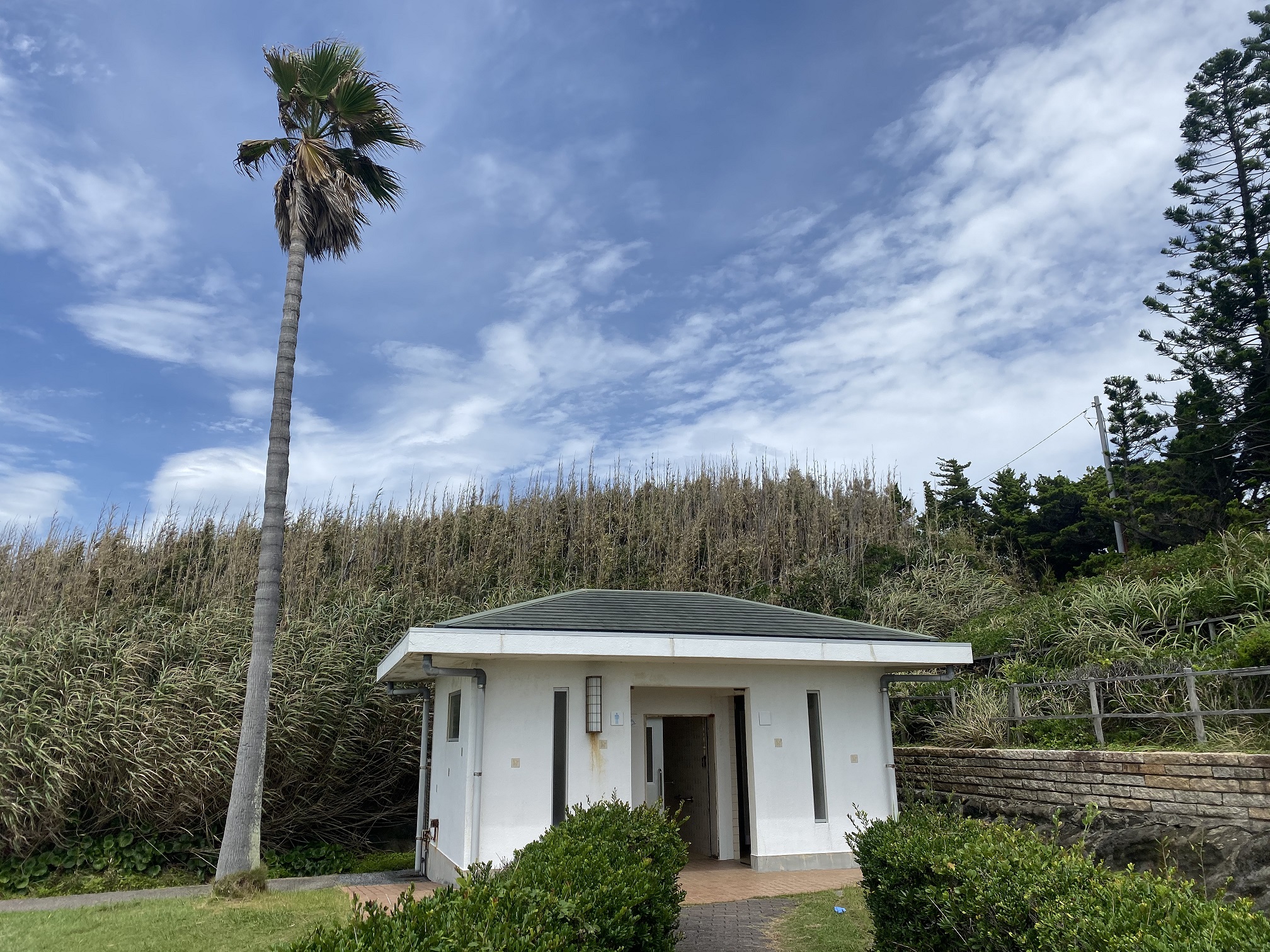 野島漁港　トイレ