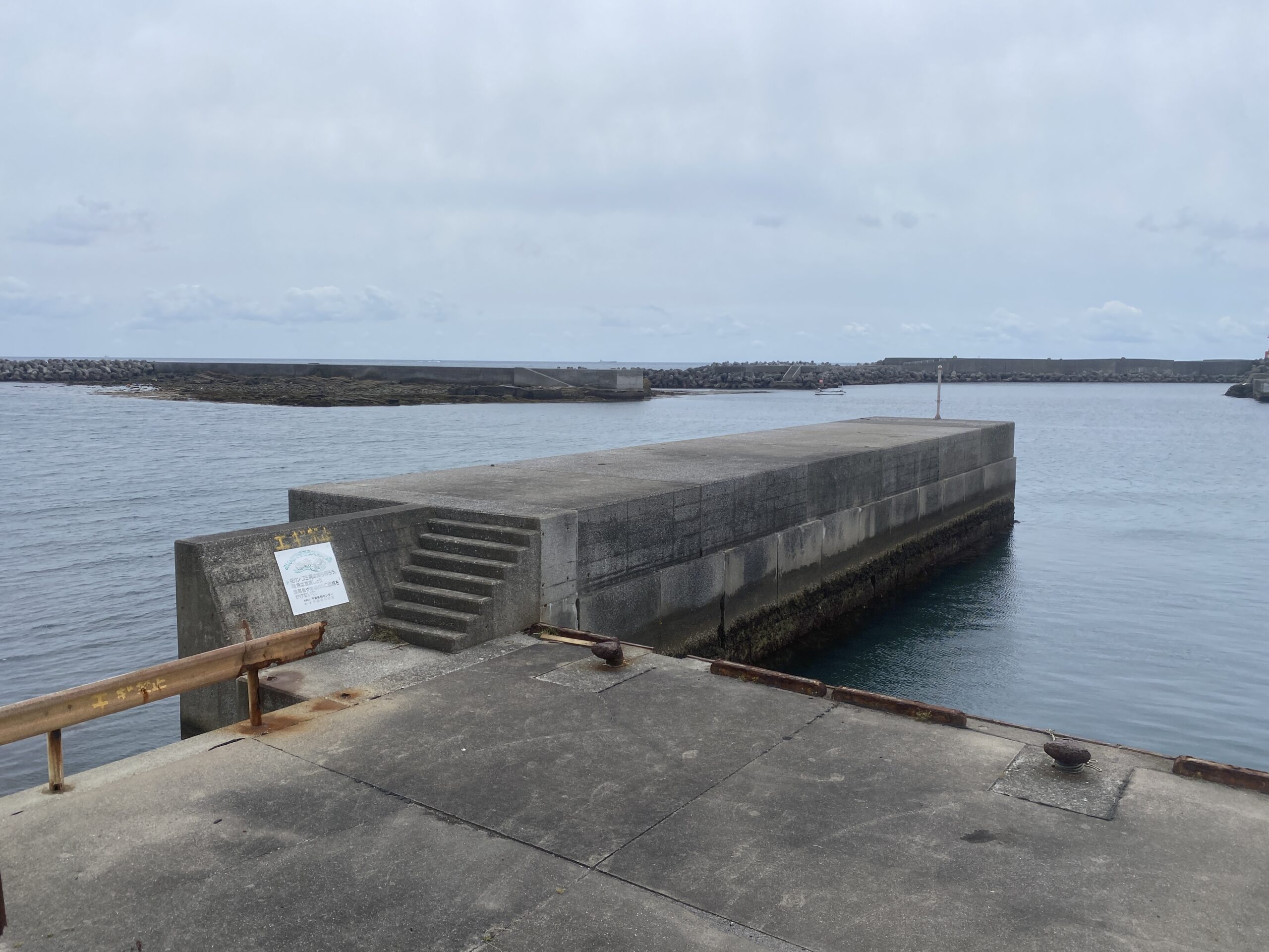 乙浜漁港　釣り