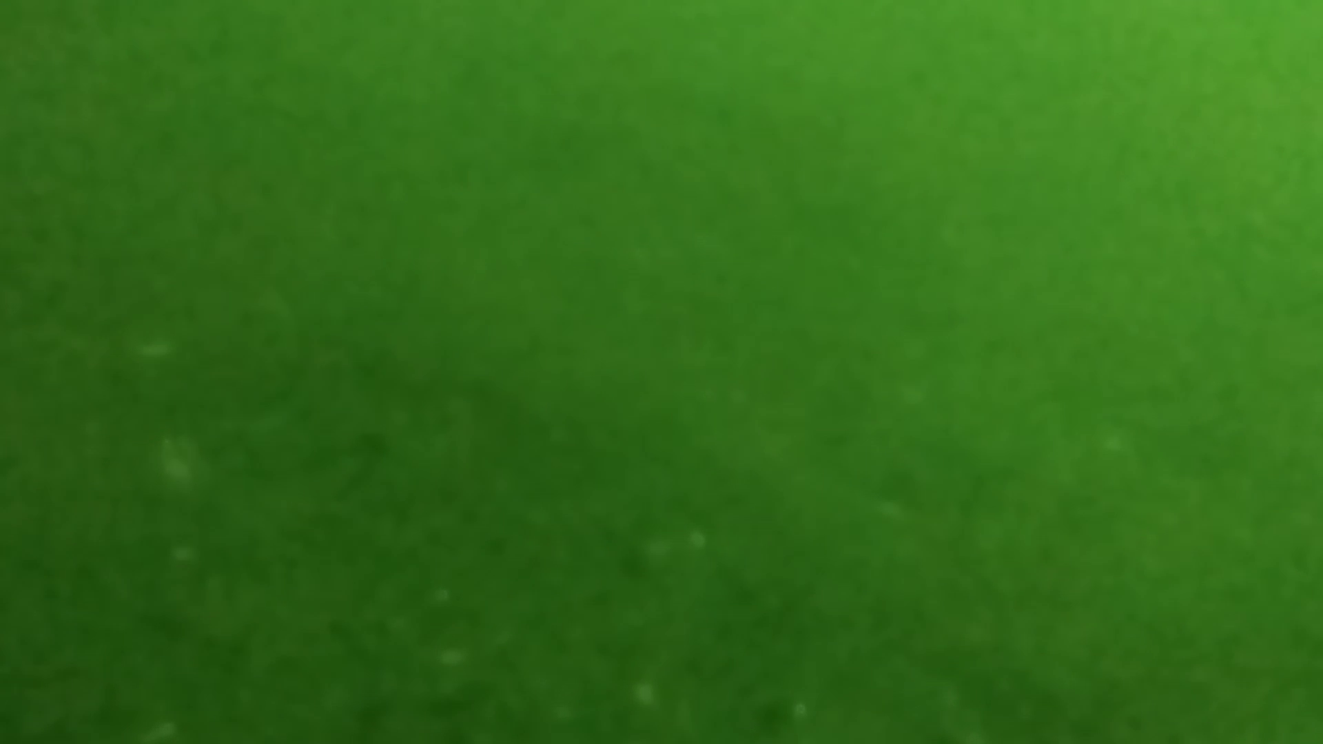 銚子外港　釣り　水中映像