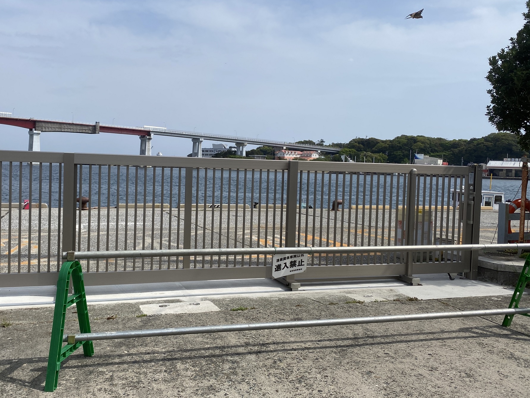 三崎港　釣り禁止