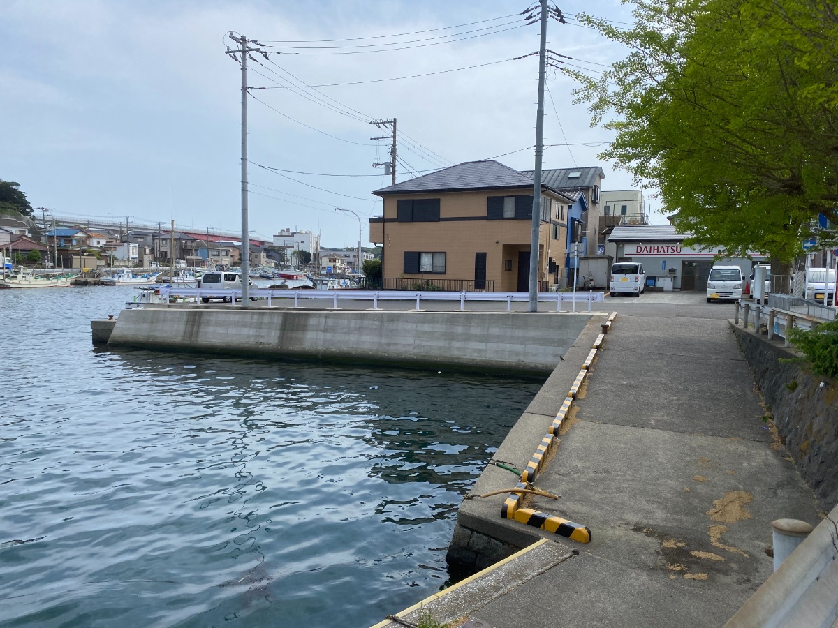 三崎港　釣り　北条湾