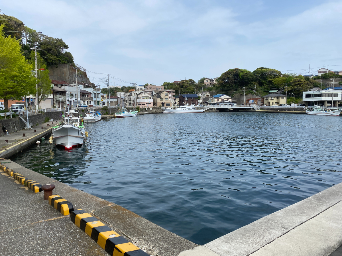 三崎港　釣り　北条湾