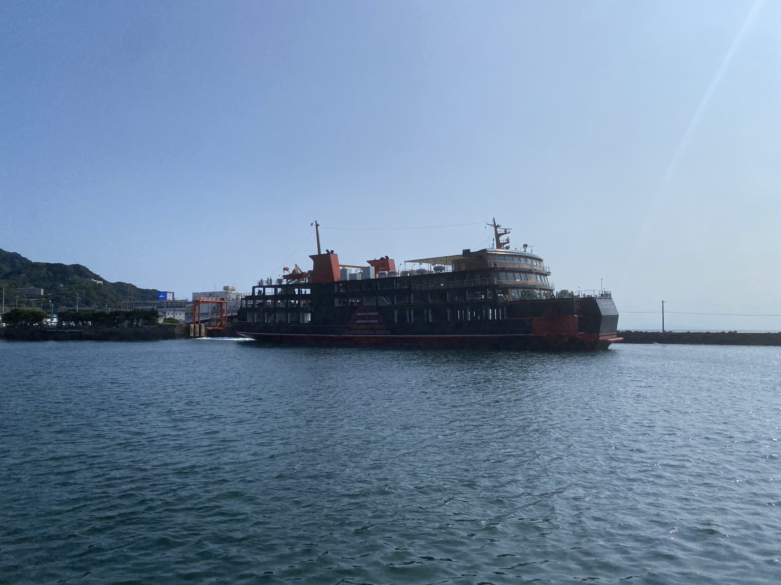 浜金谷港　釣り