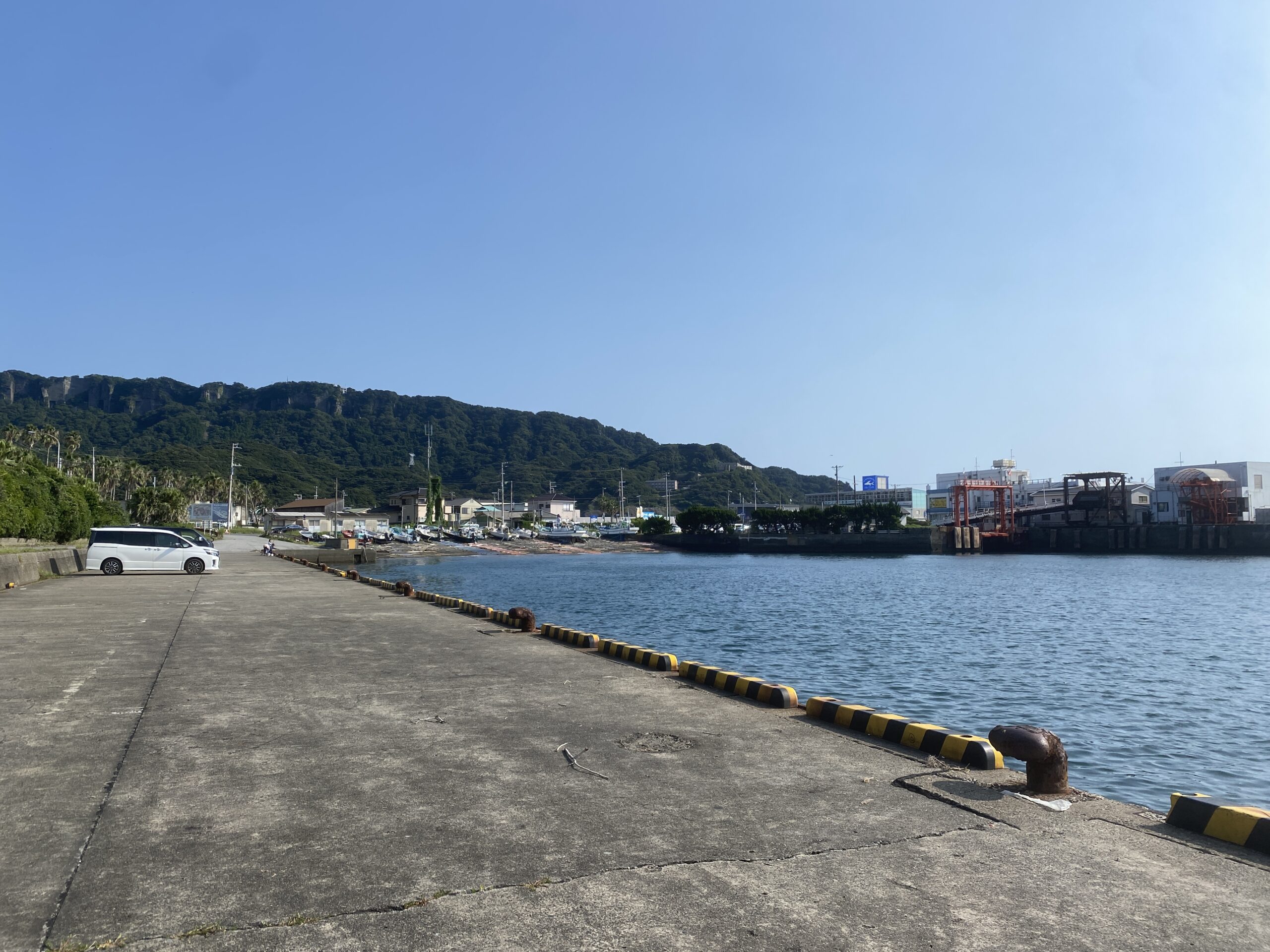 浜金谷港　釣り