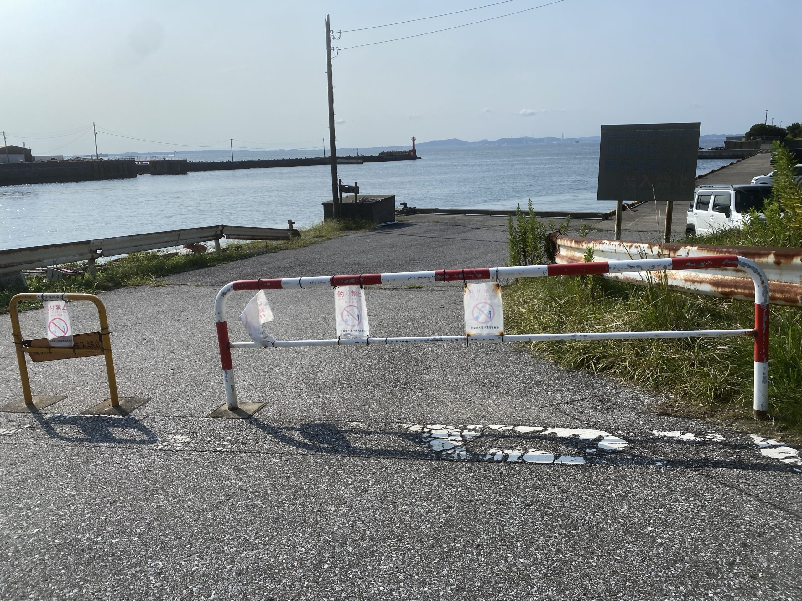 浜金谷港　釣り