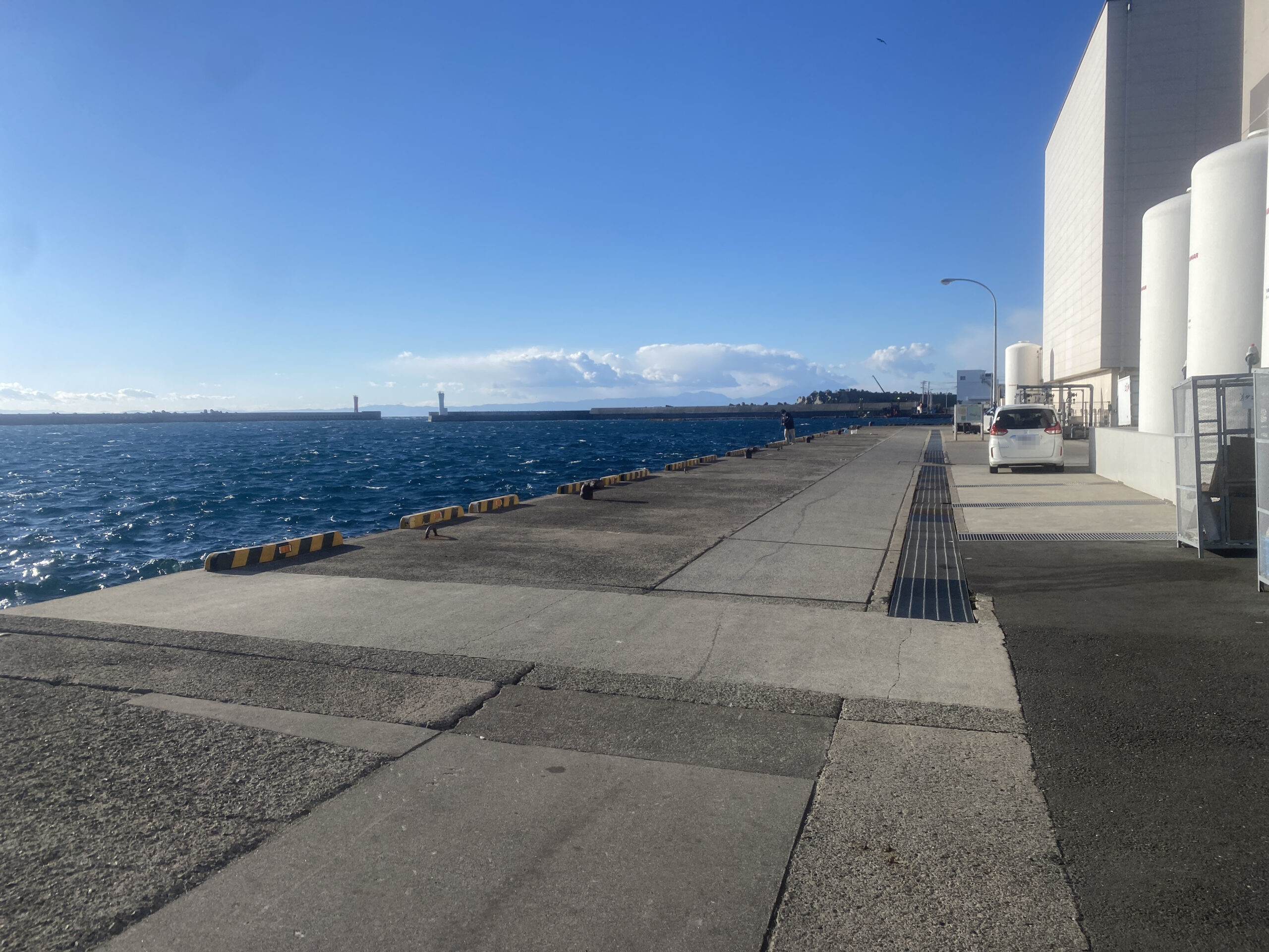 三崎漁港　釣り