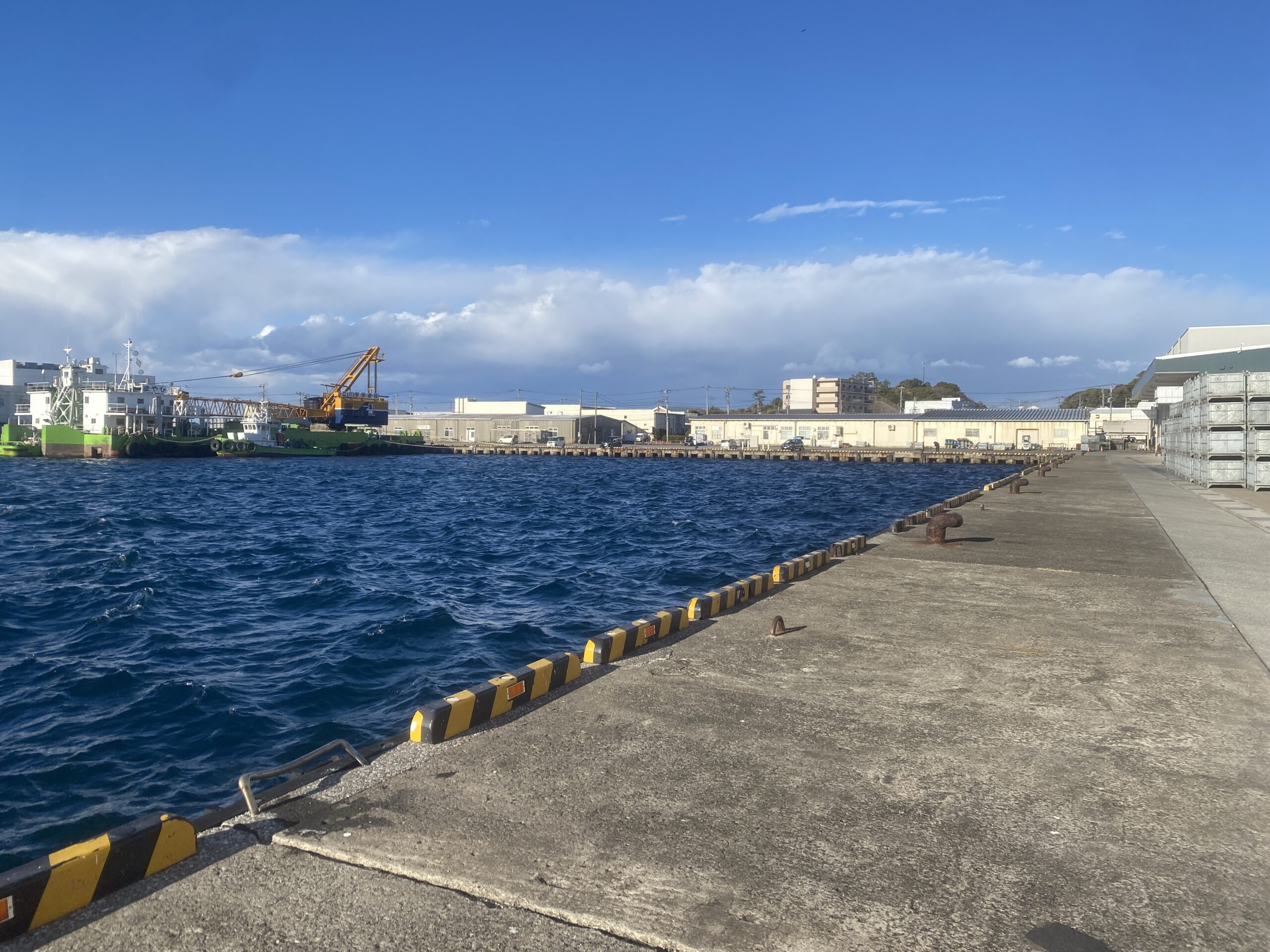 三崎漁港　釣り