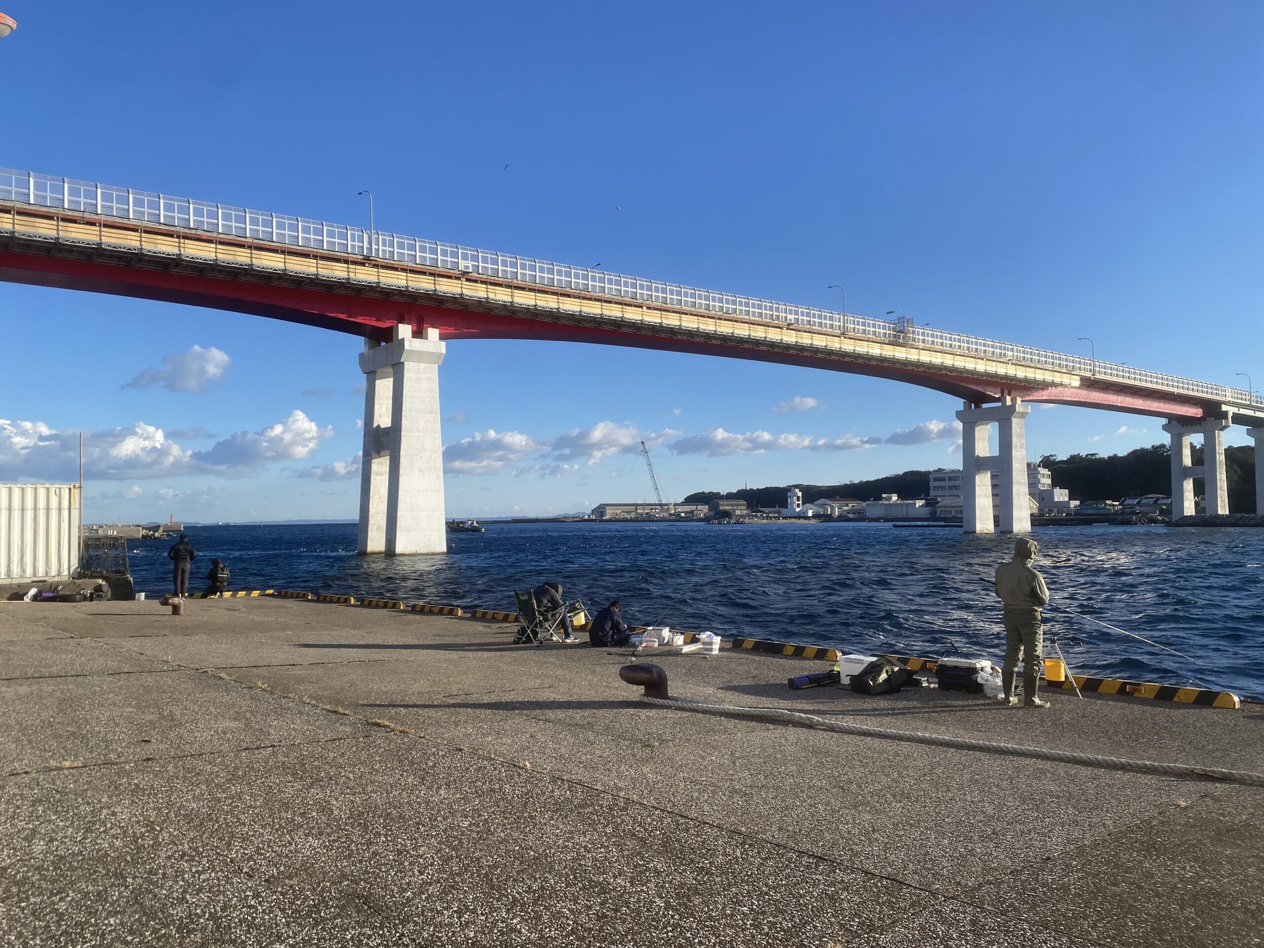 三崎漁港　釣り