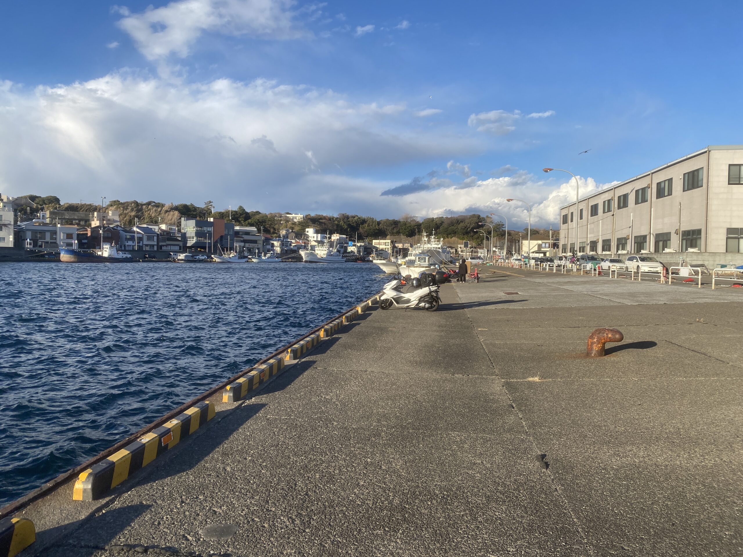 三崎漁港　釣り