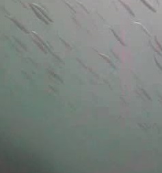 浜金谷港　水中映像