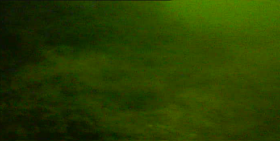 金沢水際線緑地