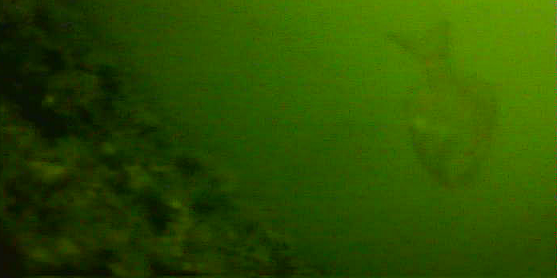 金沢水際線緑地