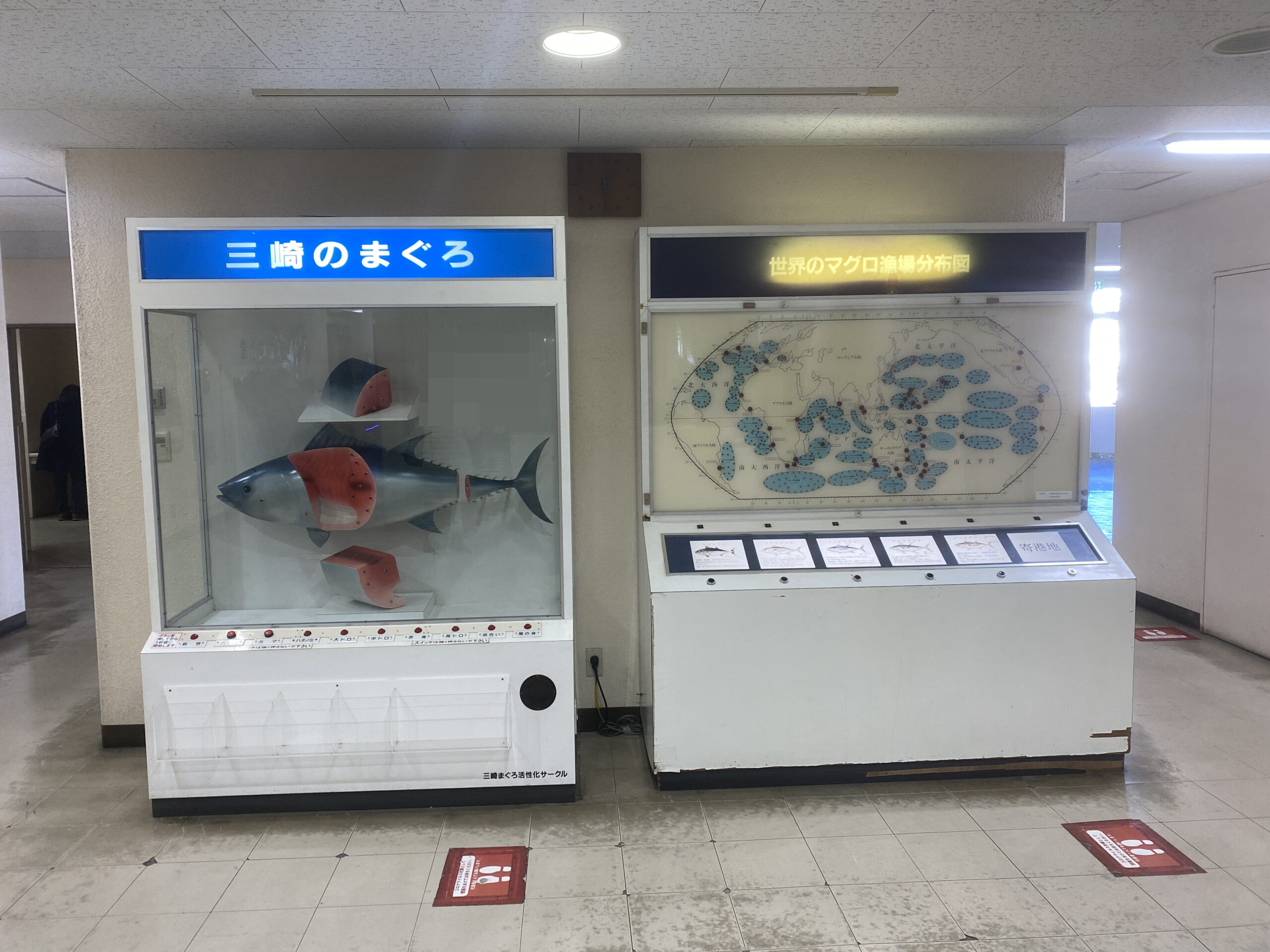 三崎漁港　釣り　みさき魚市場