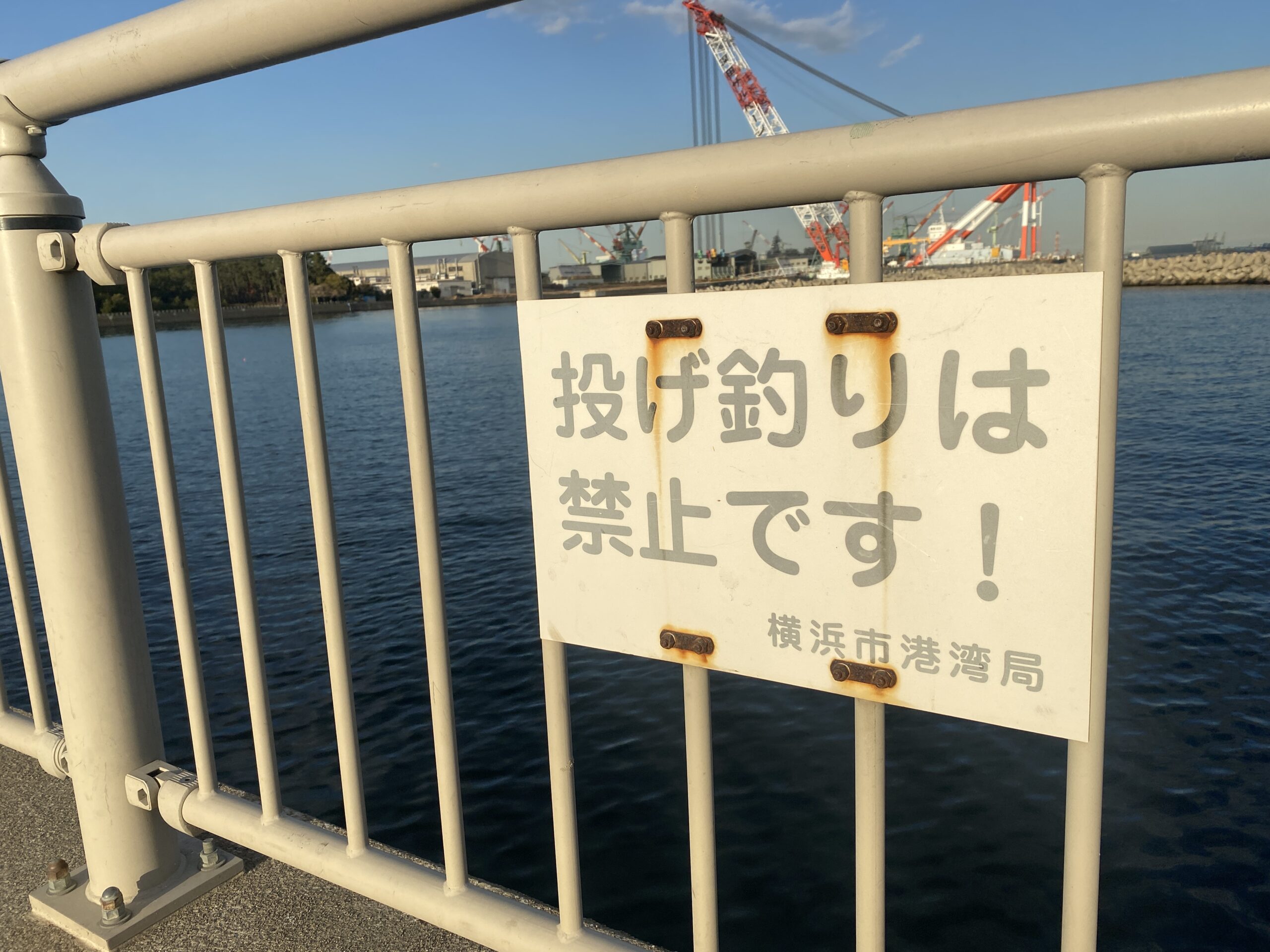 杉田臨海緑地 釣り 投げ釣り禁止