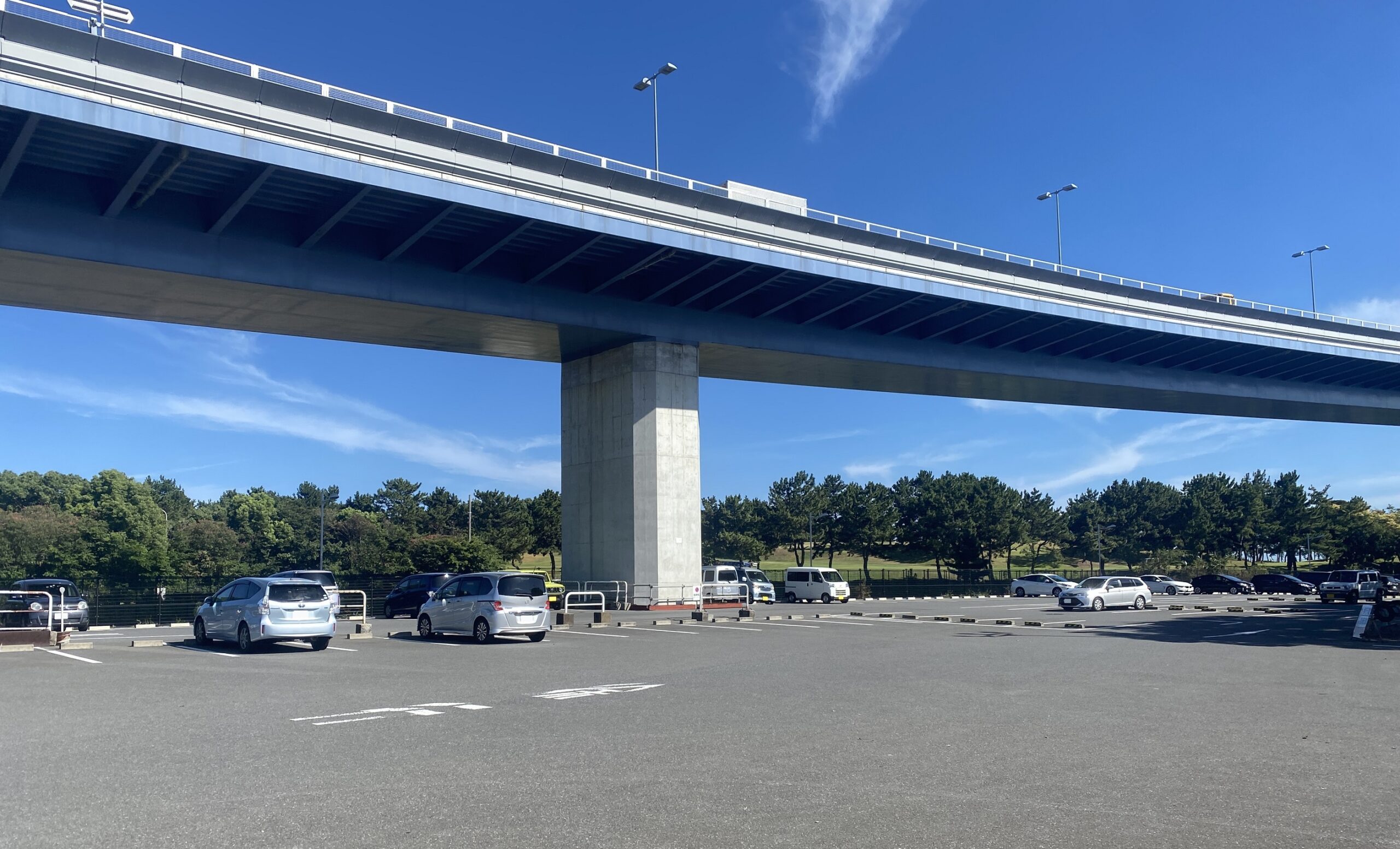 若洲海浜公園 釣り