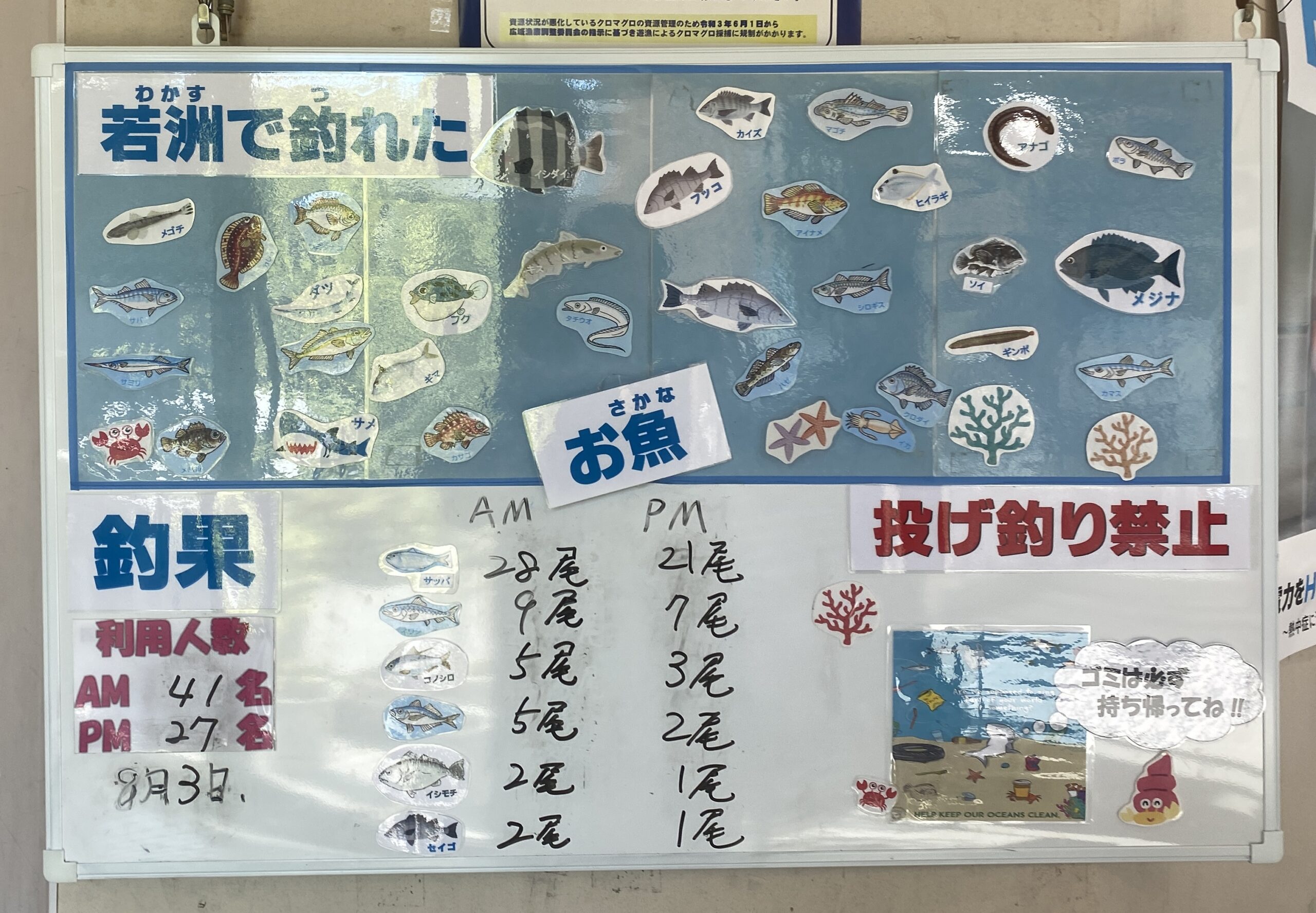 若洲海浜公園 釣果