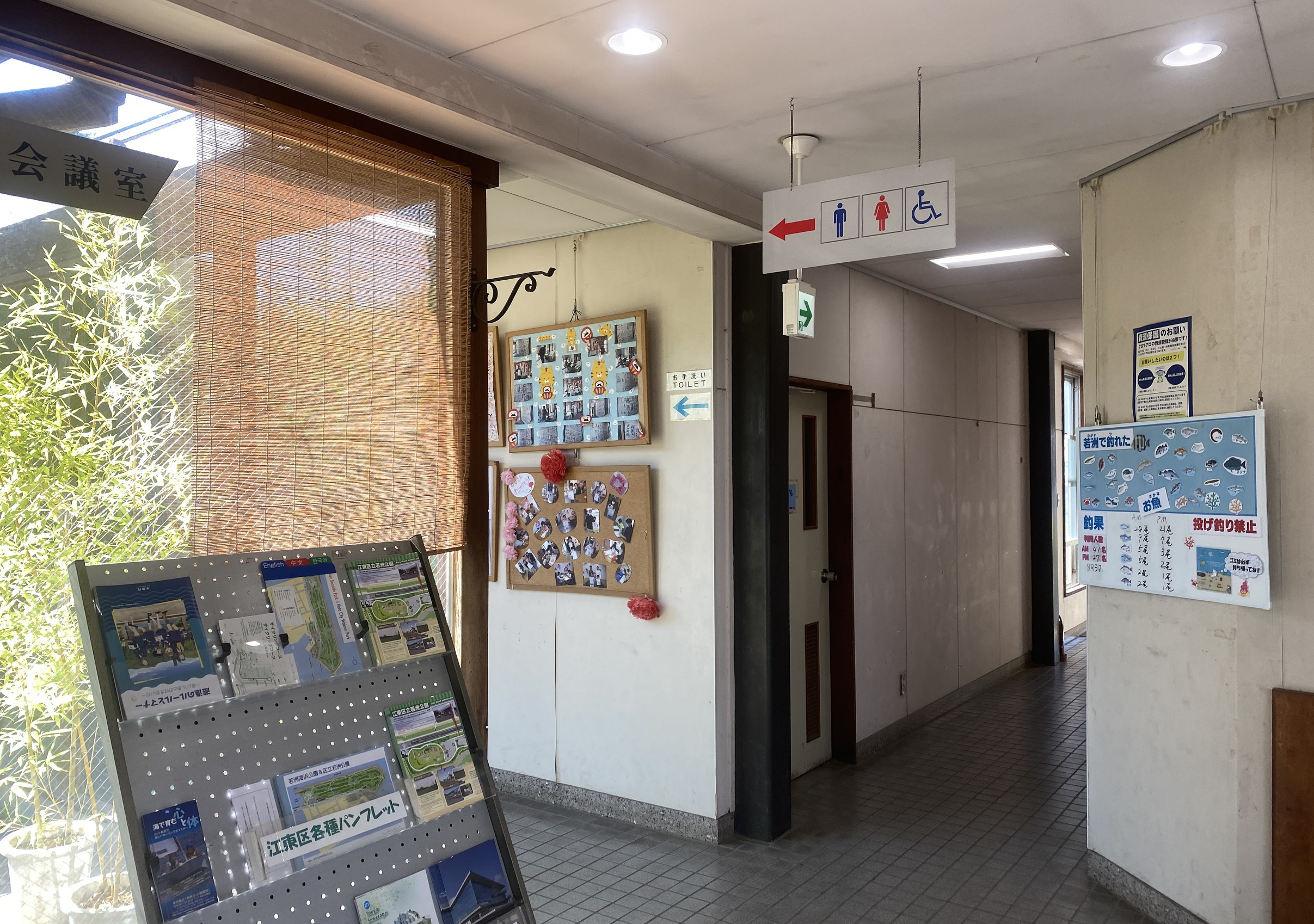 若洲海浜公園 釣り