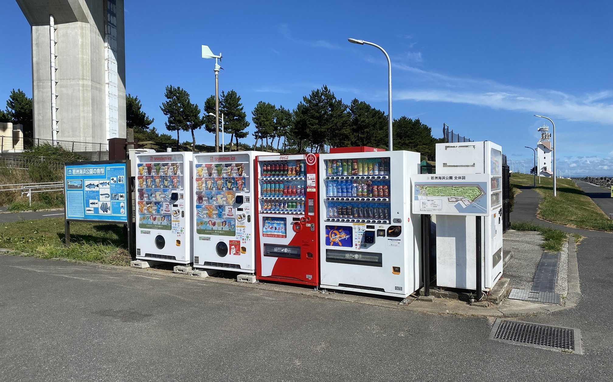 若洲海浜公園 釣り