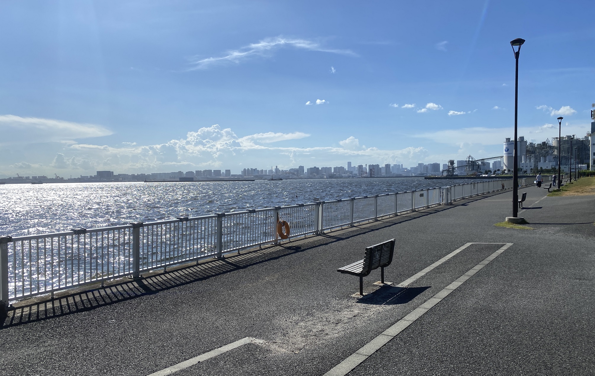 若洲海浜公園 釣り