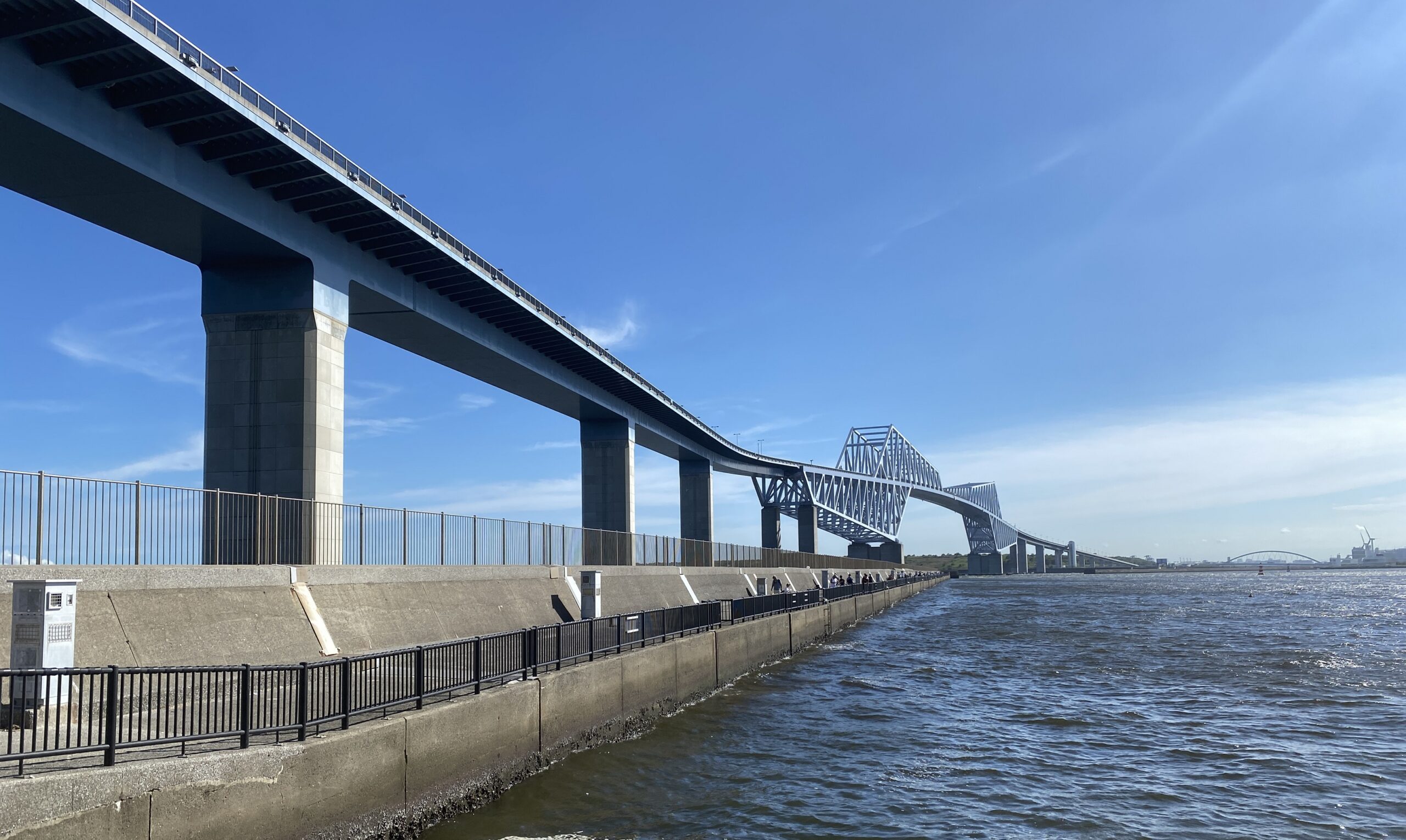 若洲海浜公園 釣り