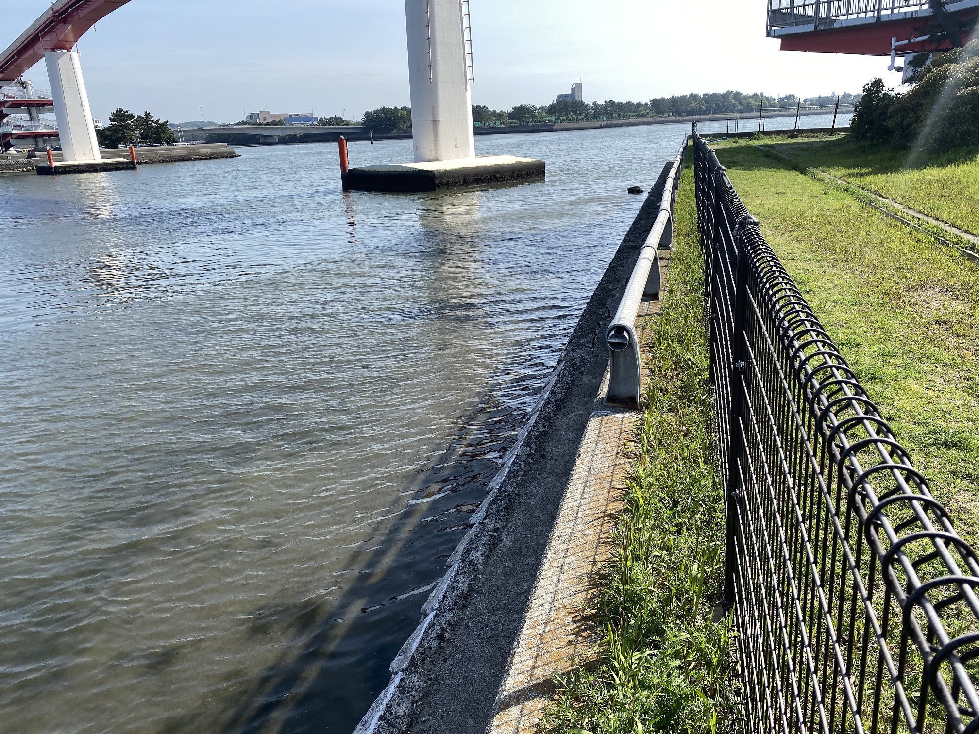 木更津 中の島公園