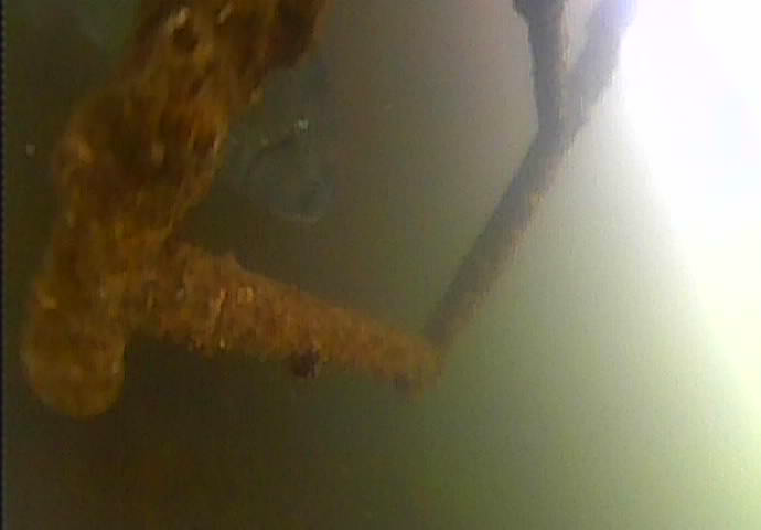 越中島公園　釣り