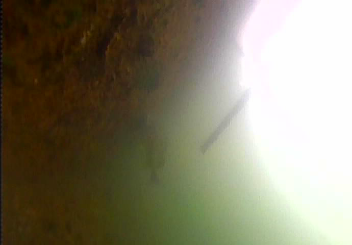 越中島公園　釣り