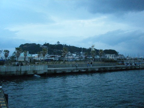江ノ島 釣り場