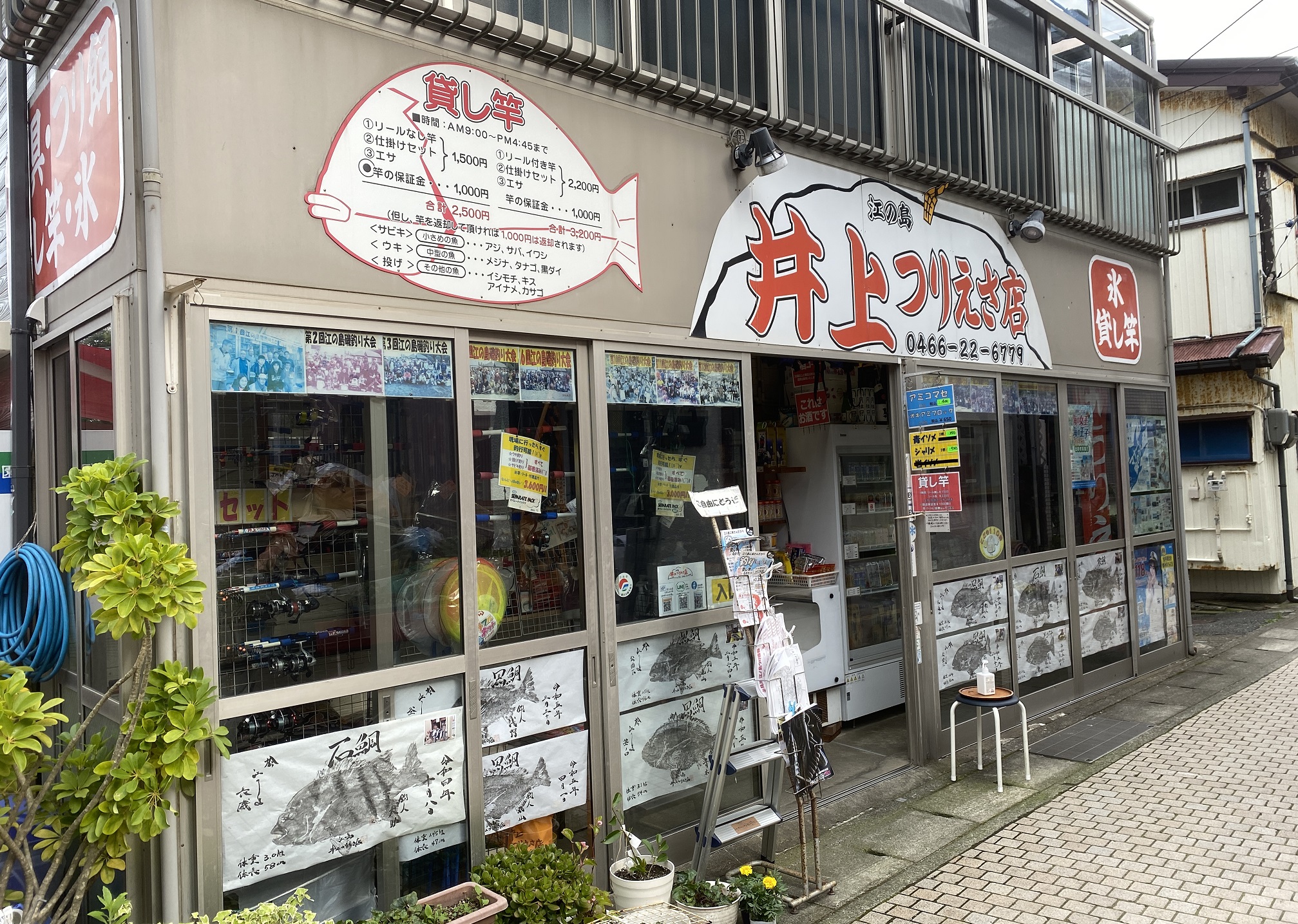 江ノ島 井上つりえさ店