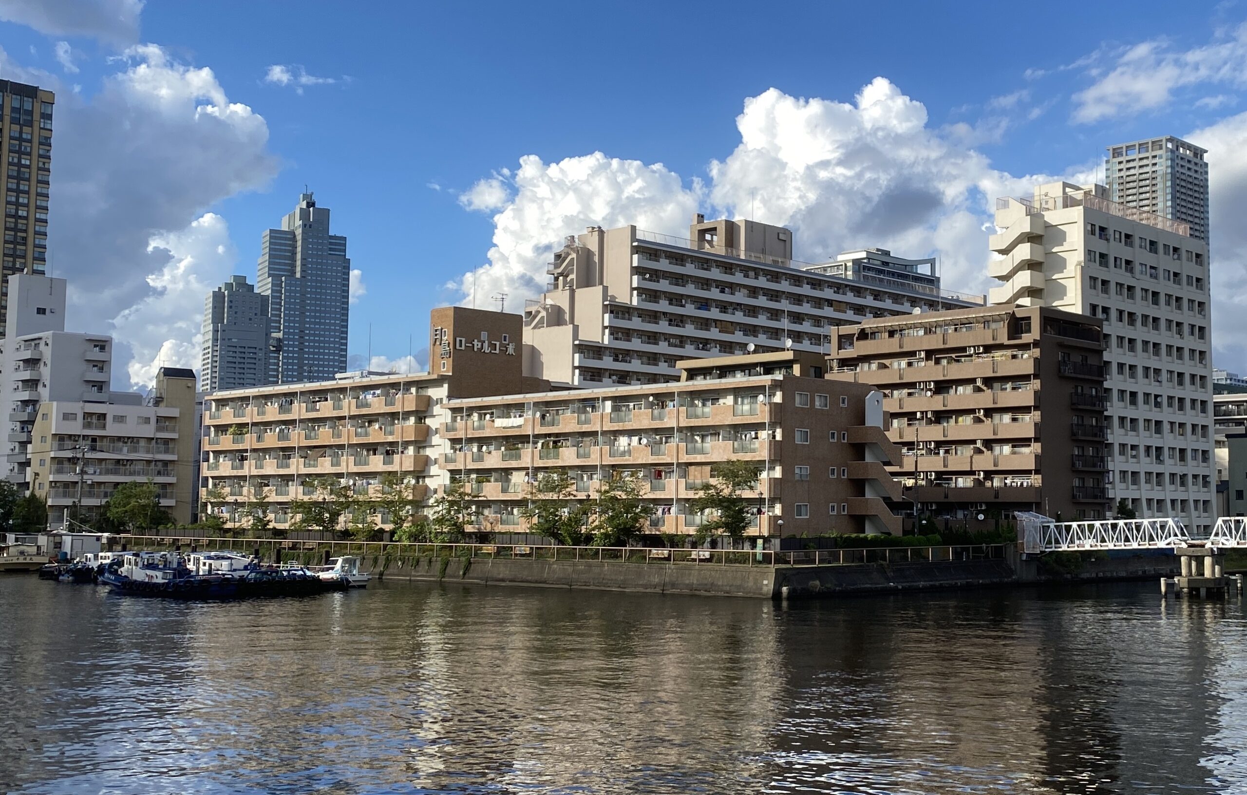 月島川緑の散歩道　釣り