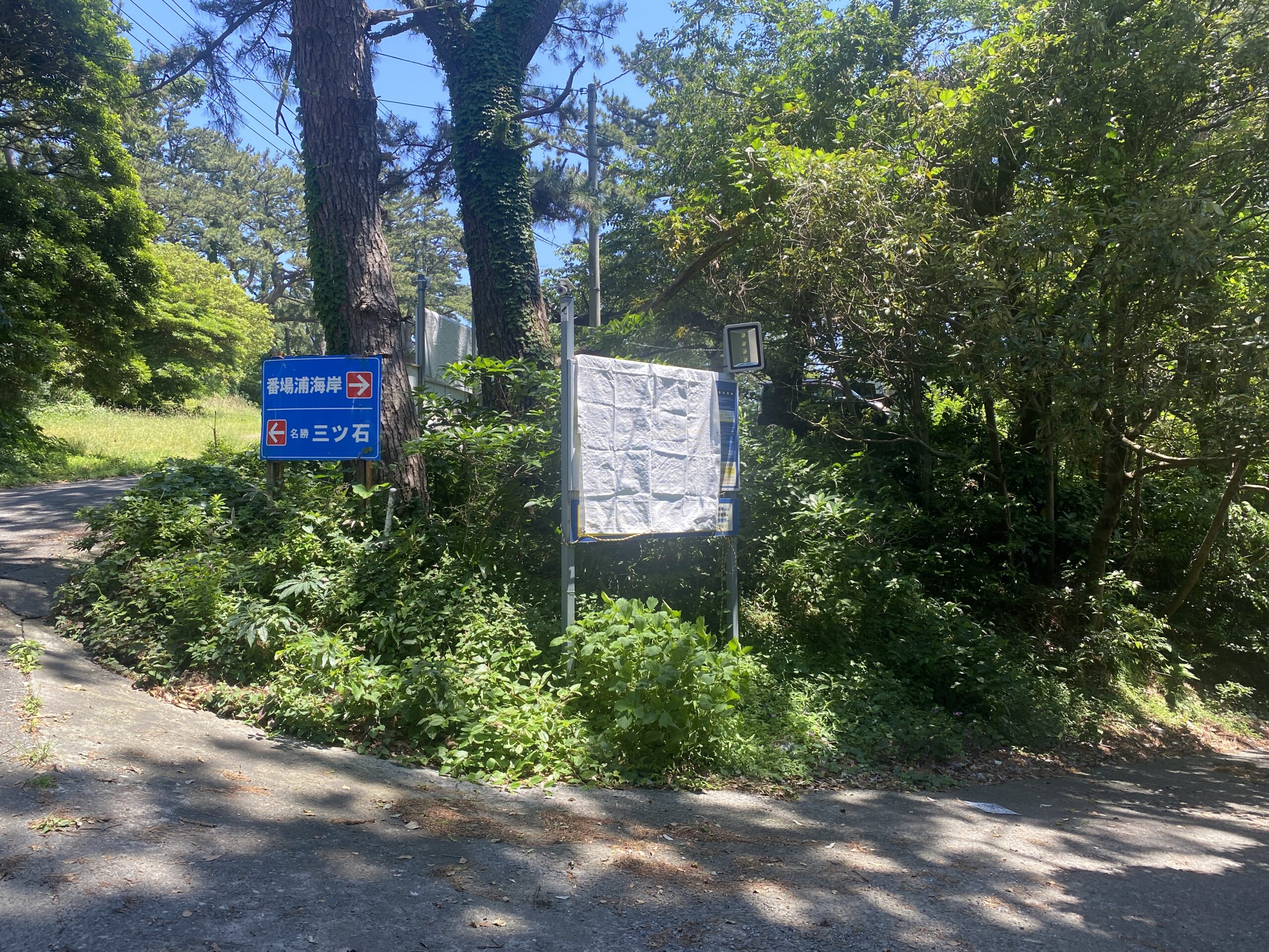 真鶴　番場浦　釣り　駐車場