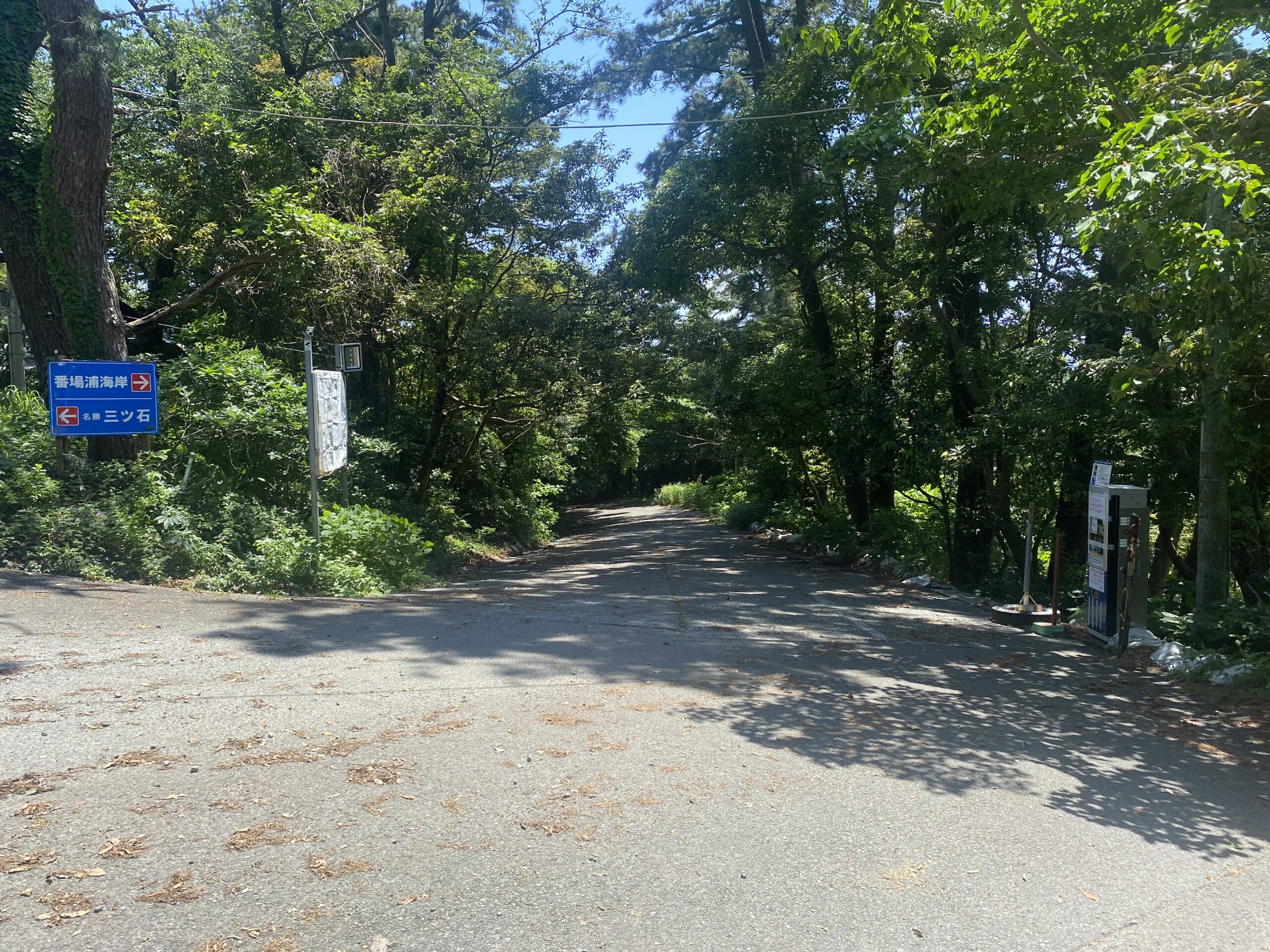 真鶴　番場浦　釣り　駐車場