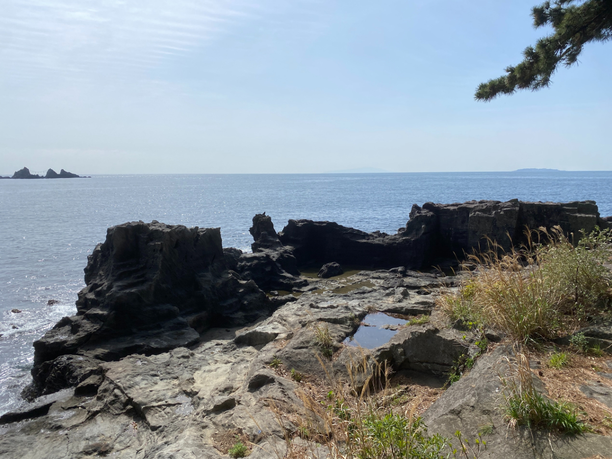 真鶴半島 番場浦 釣り場案内人サトシ!