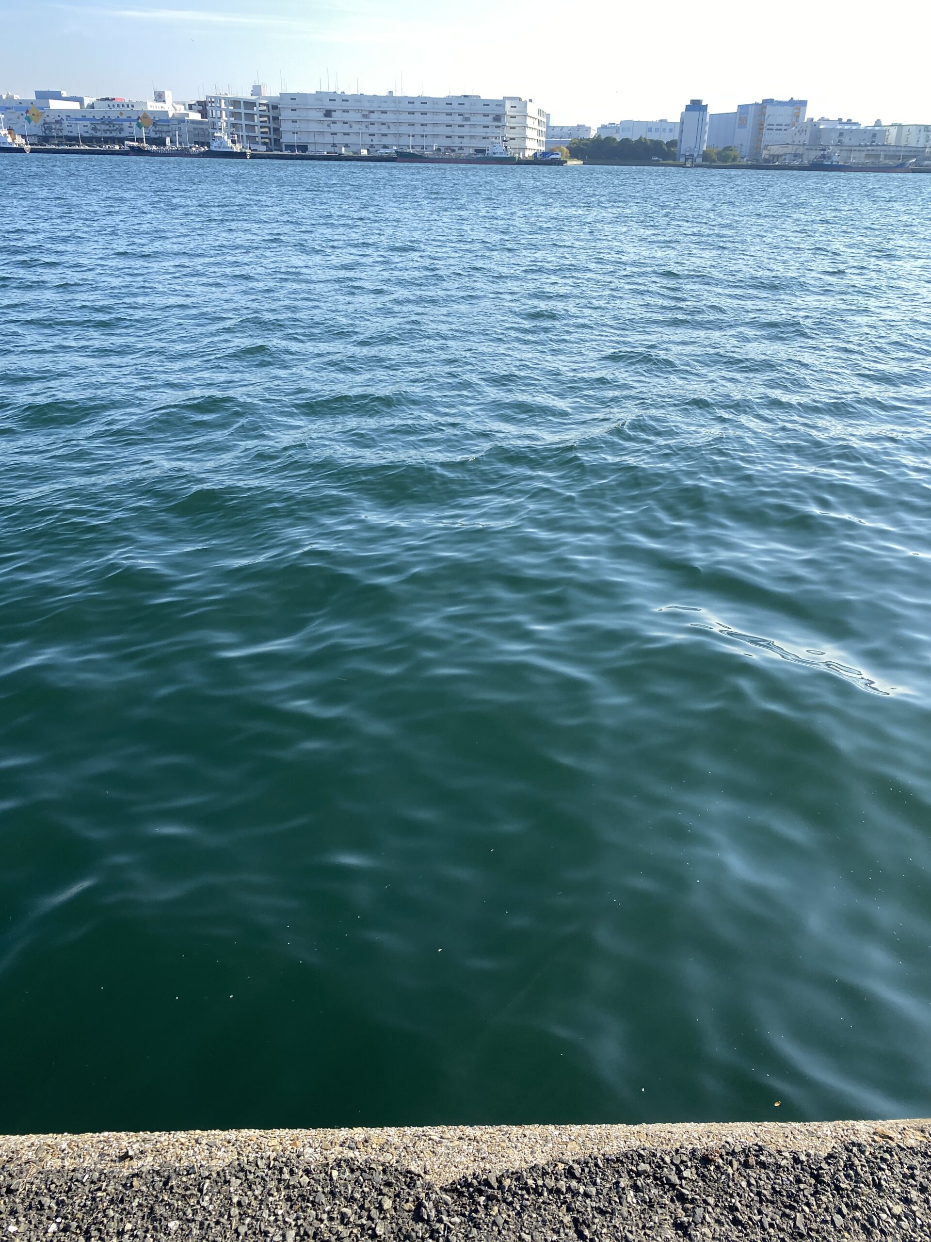 ちどり公園　釣り禁止