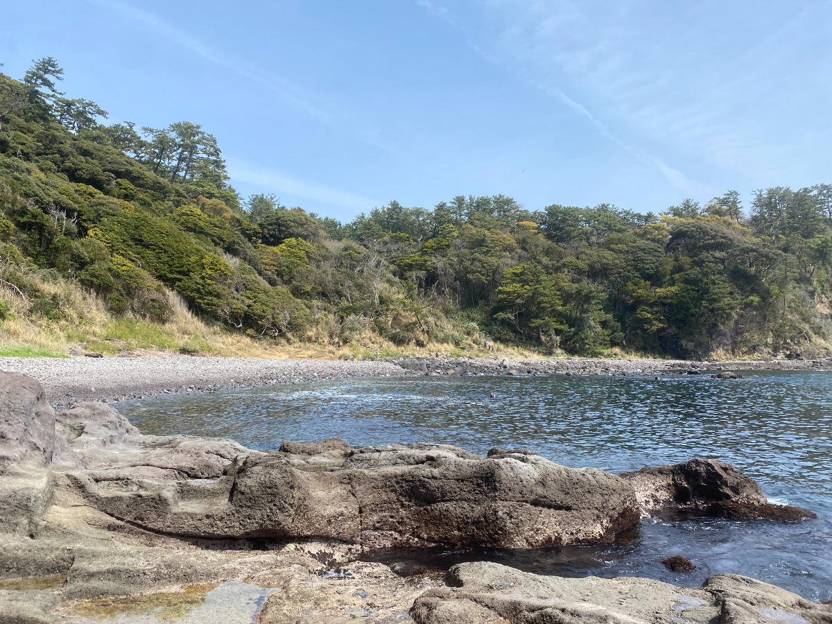 真鶴半島 番場浦 釣り場案内人サトシ!