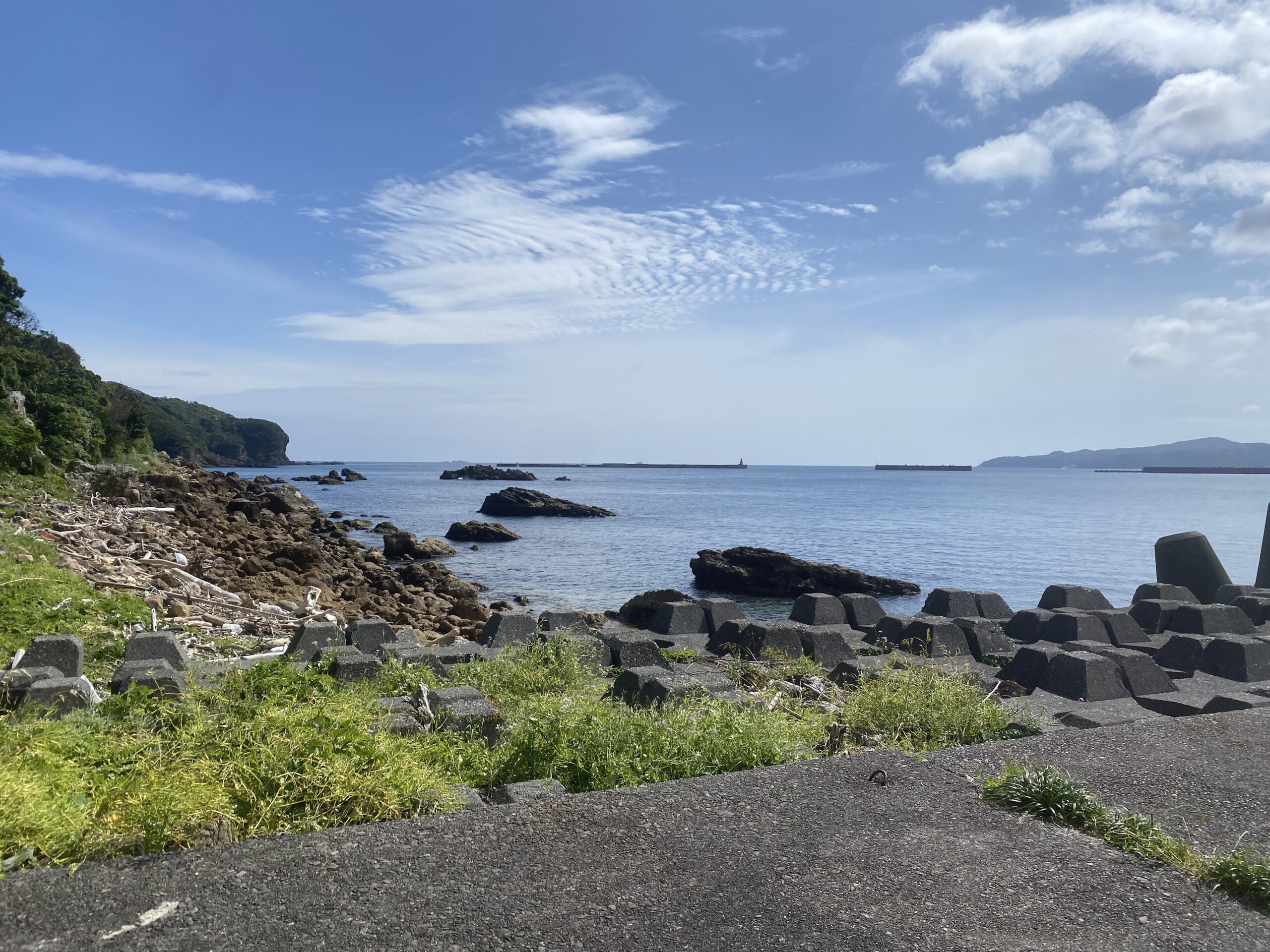 下田福浦堤防 釣り