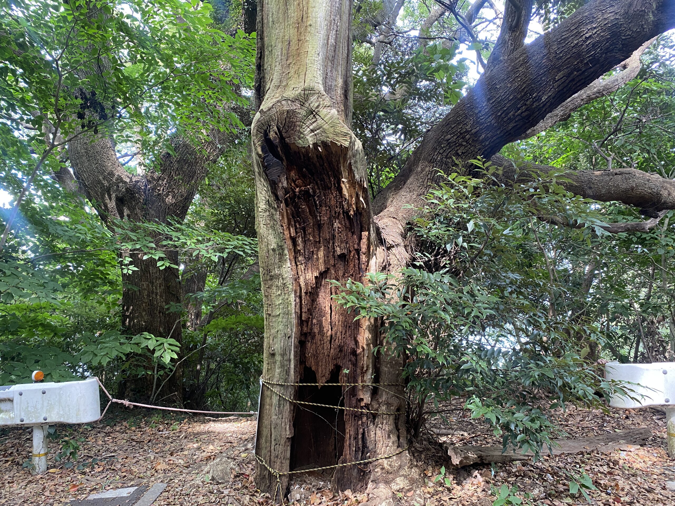 真鶴半島 釜の口 釣り