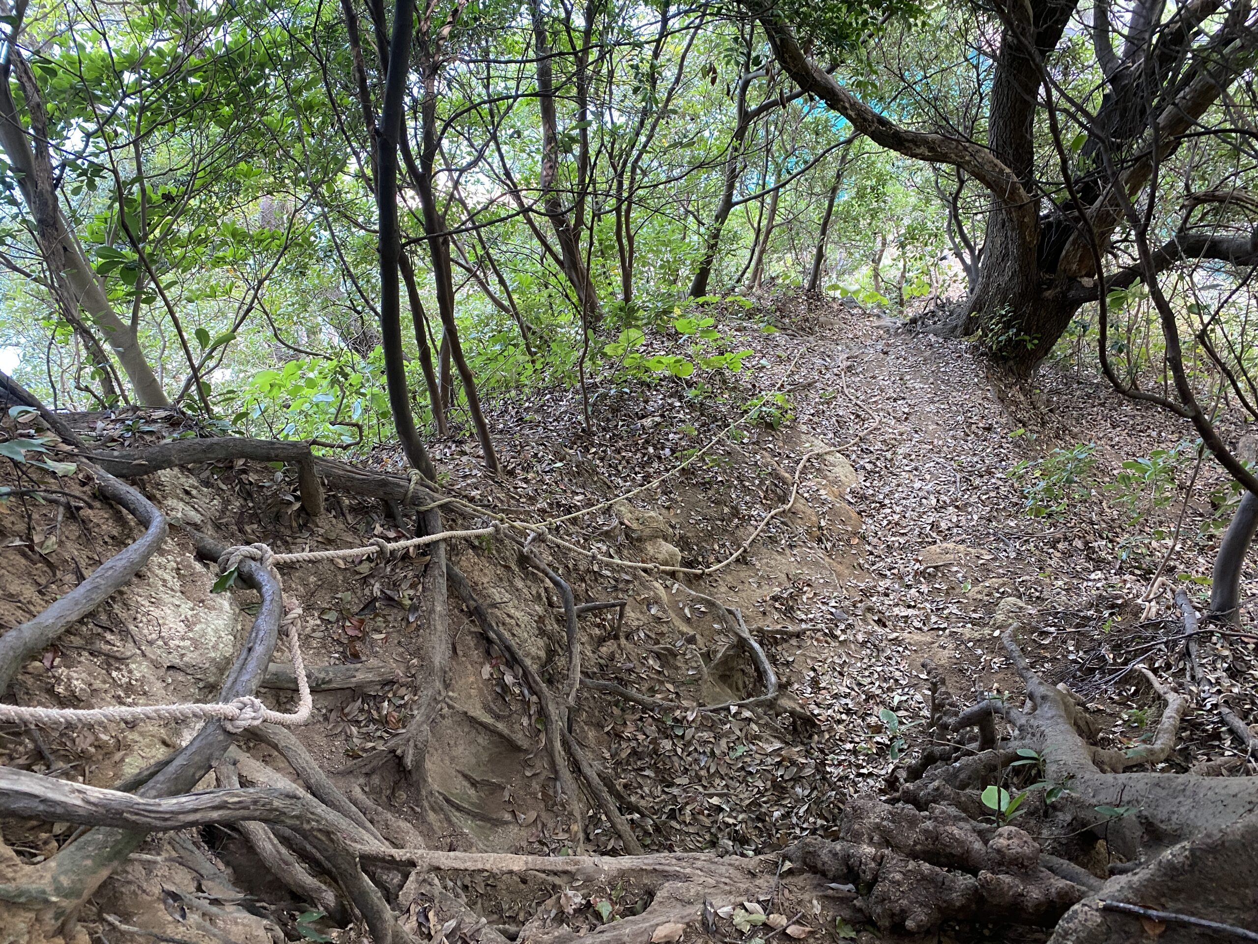 真鶴半島 釜の口 釣り