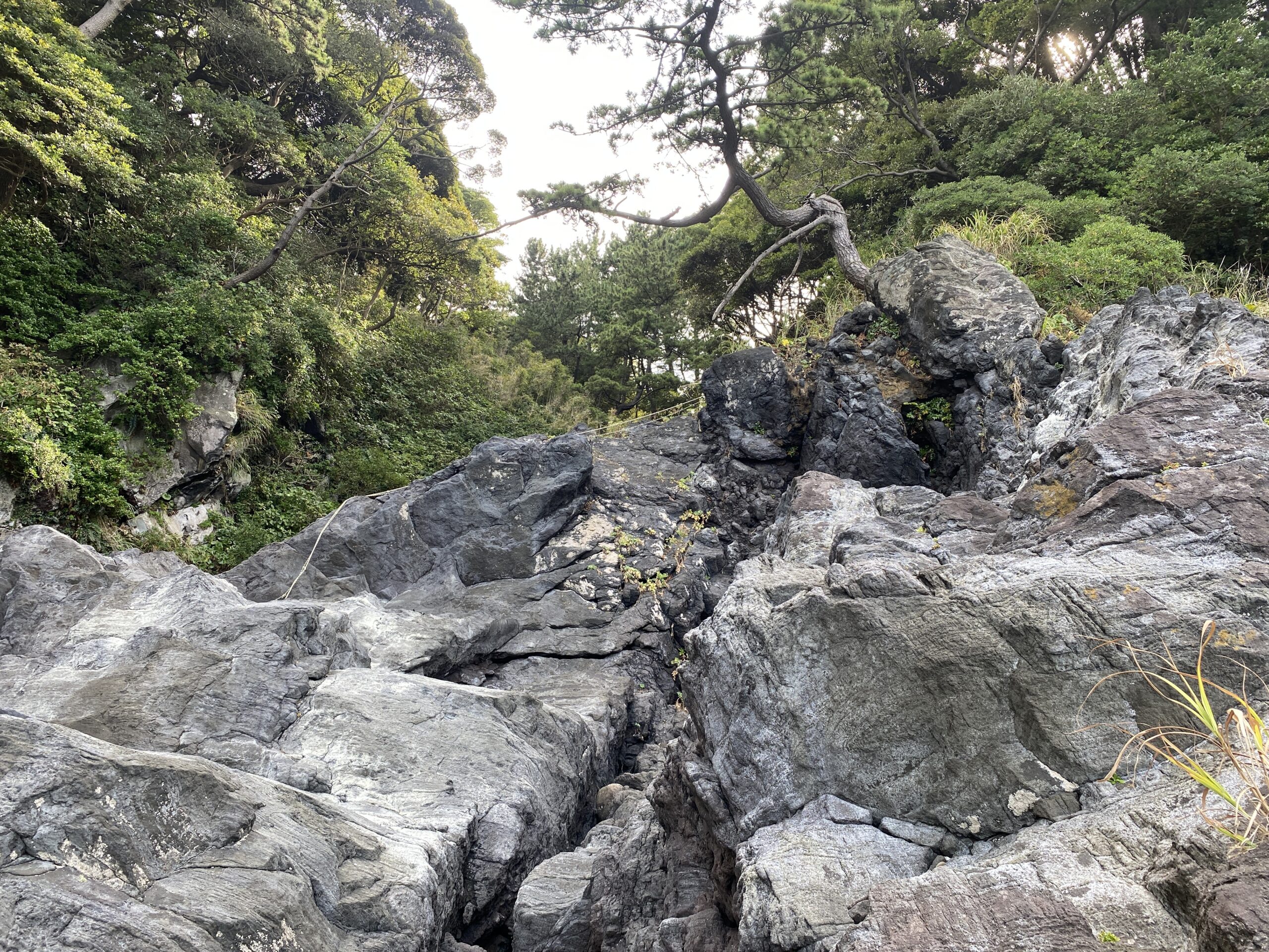 真鶴半島 釜の口 釣り