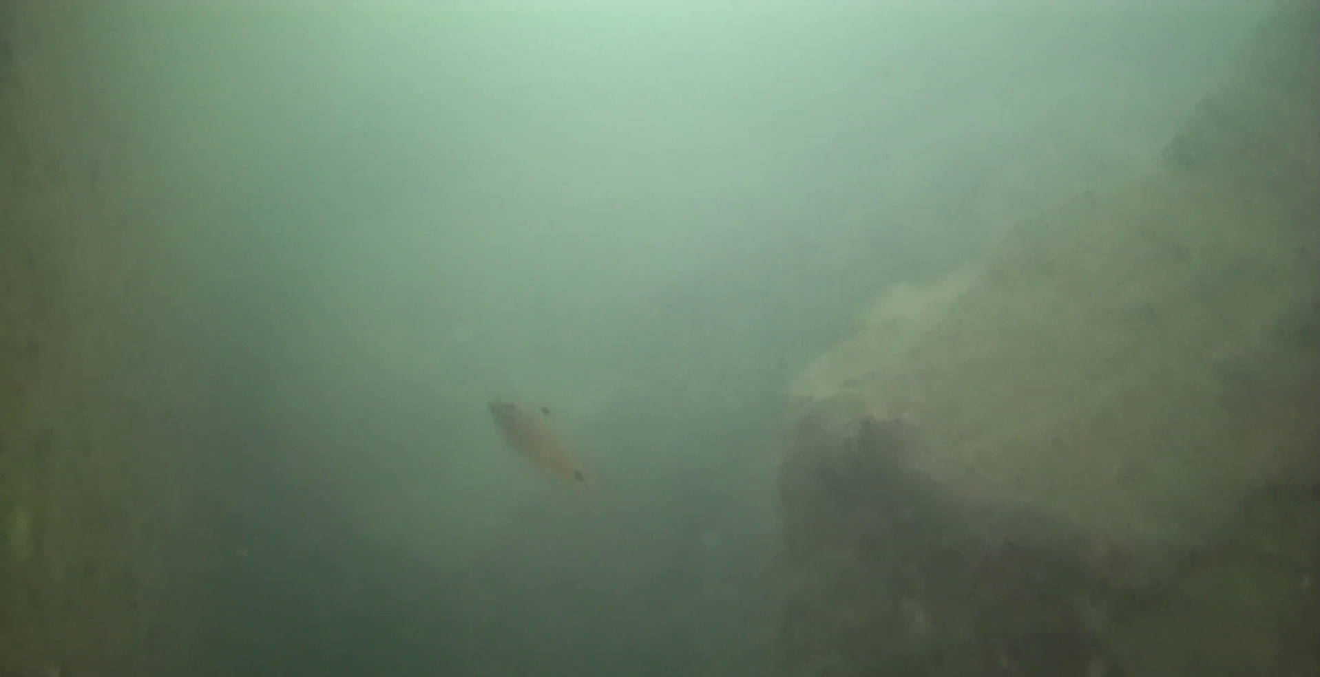 由比漁港　釣り