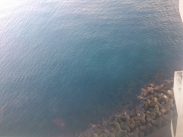 ハトヤ裏　釣り