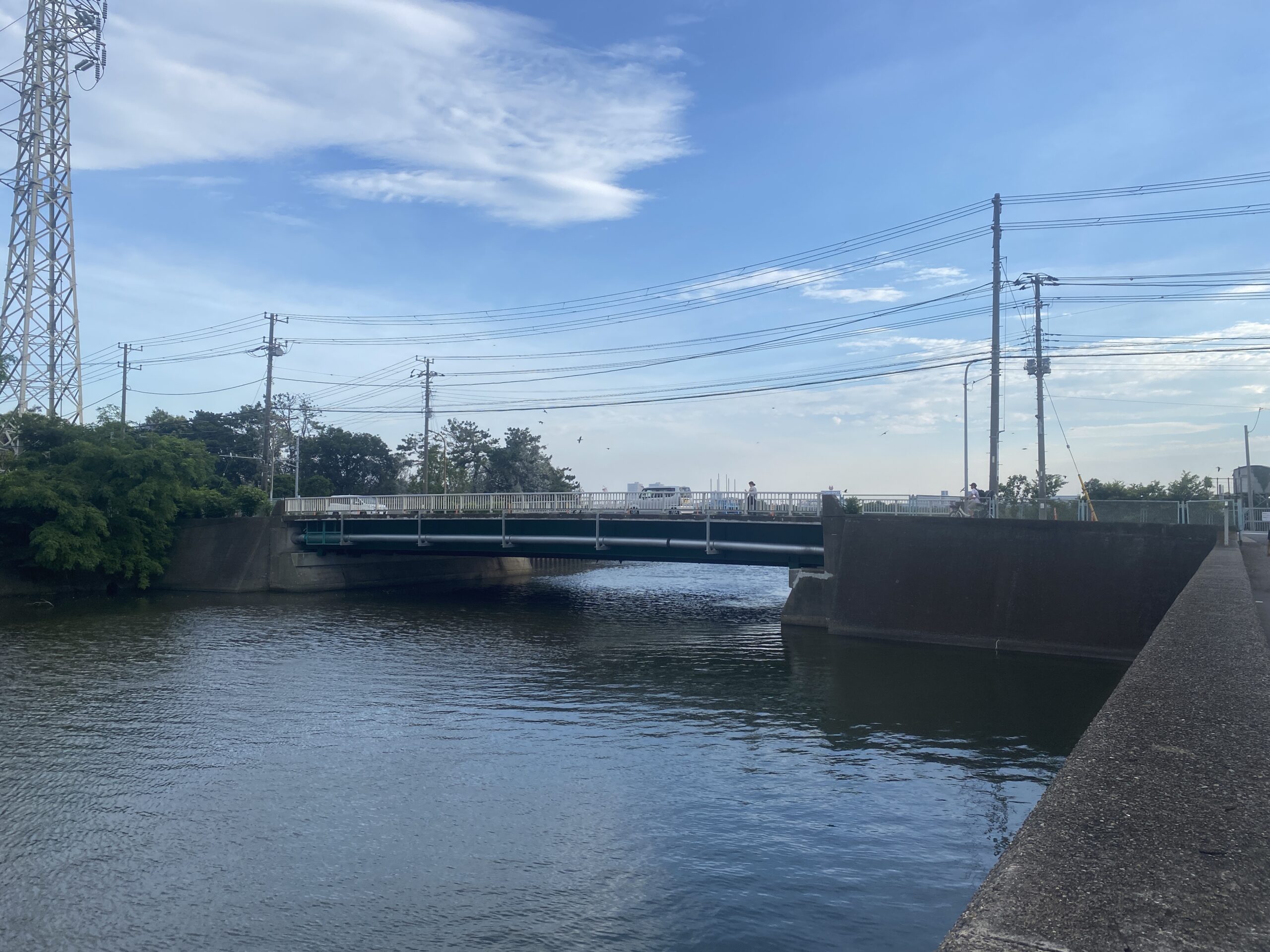 千鳥町ホームセンター横 釣り 東京湾奥 黒鯛 シーバス ハゼ