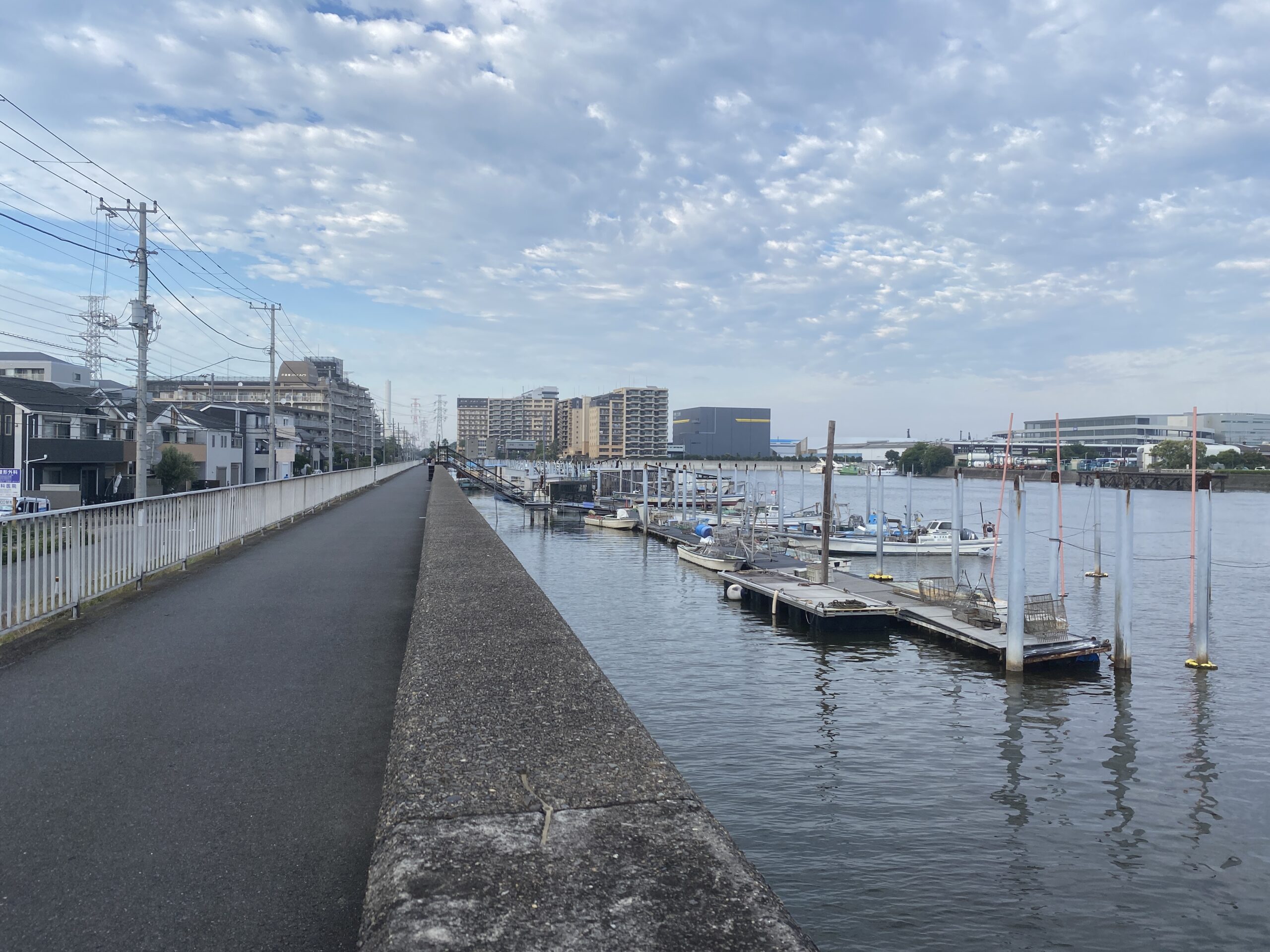 千鳥町ホームセンター横 釣り 東京湾奥 黒鯛 シーバス ハゼ