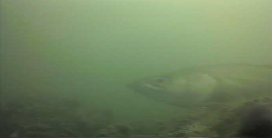 千鳥町ホームセンター横 釣り 東京湾奥 黒鯛 シーバス ハゼ 水中写真