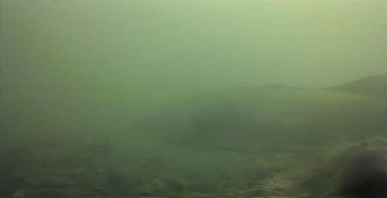 千鳥町ホームセンター横 釣り 東京湾奥 黒鯛 シーバス ハゼ 水中写真