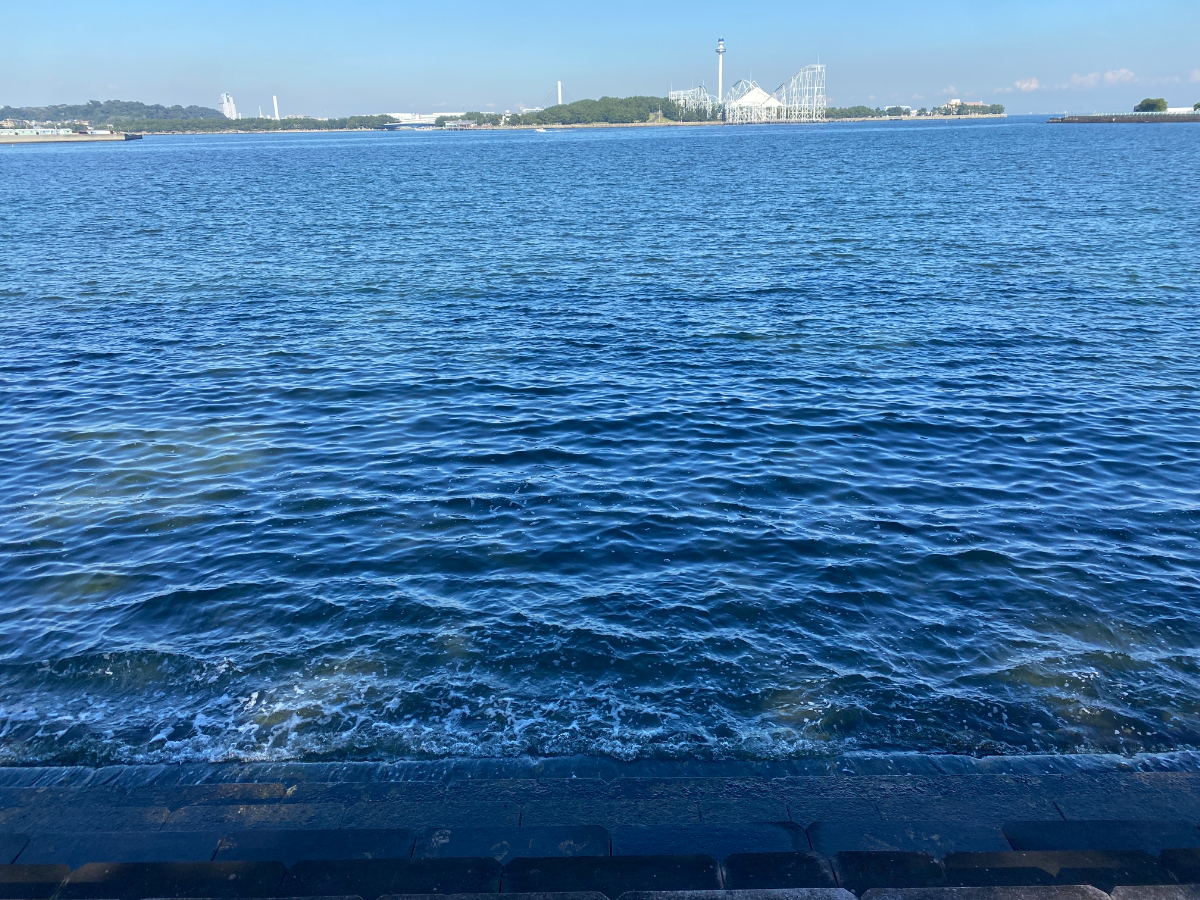 野島公園　釣り