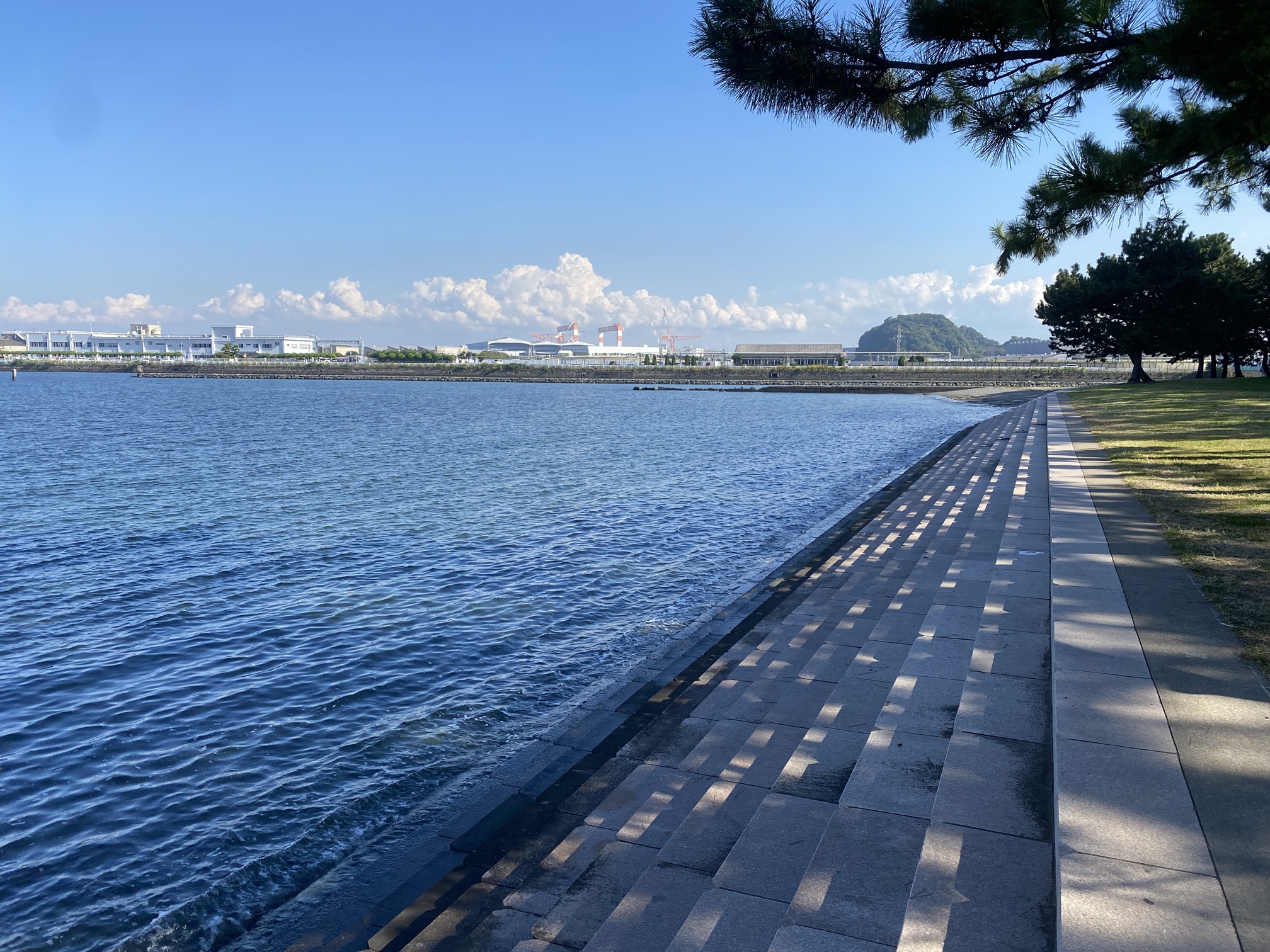 野島公園　釣り