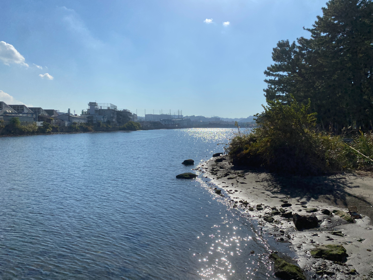 野島公園　釣り