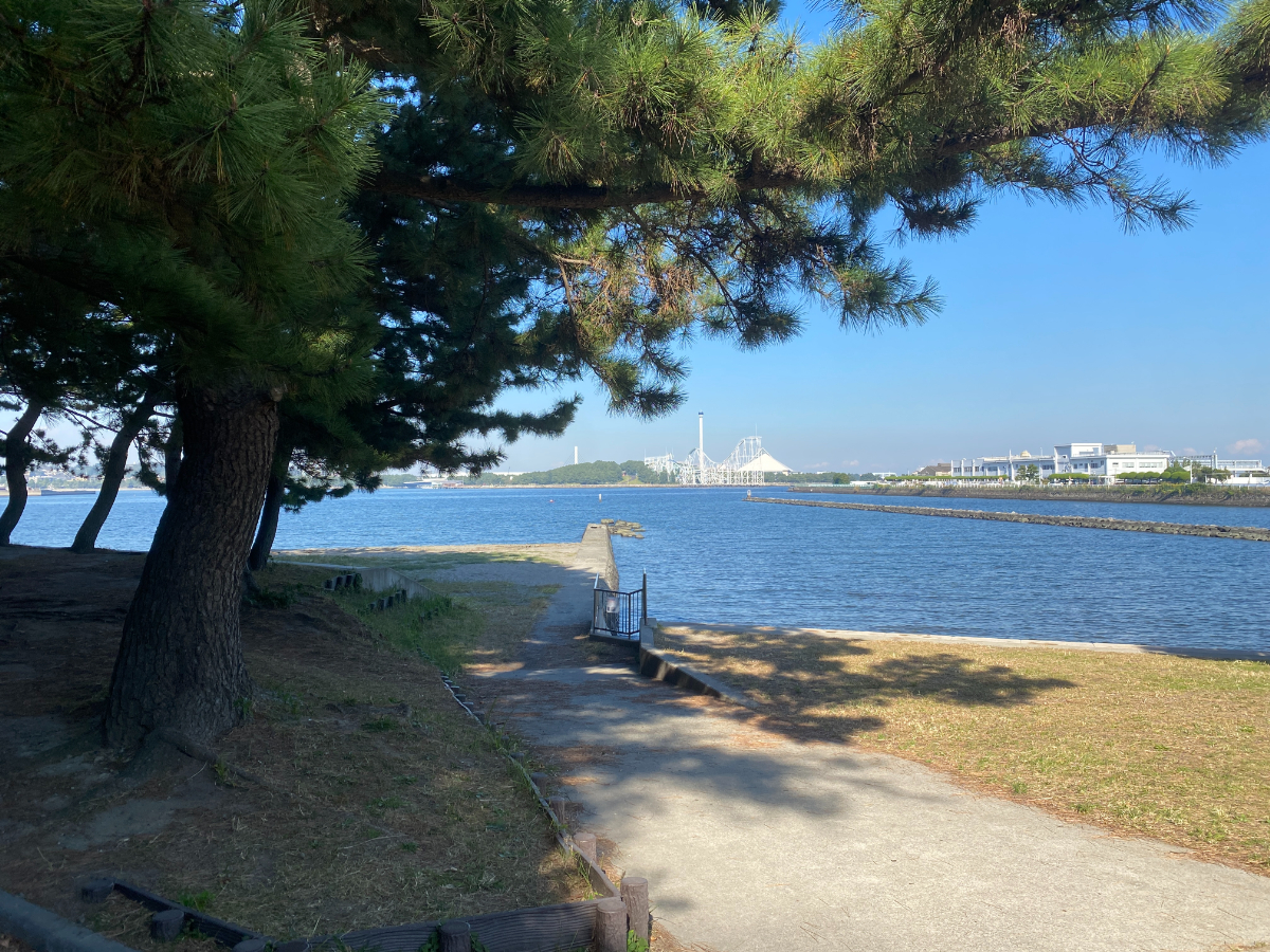 野島公園　釣り