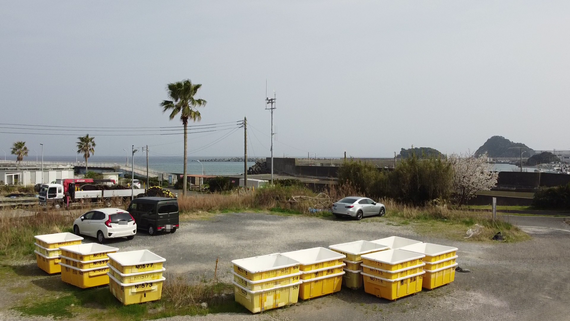 鴨川漁港　釣り